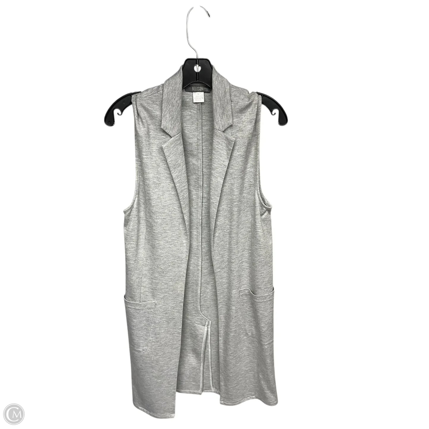 Vest Other By Allison Joy In Grey, Size: S