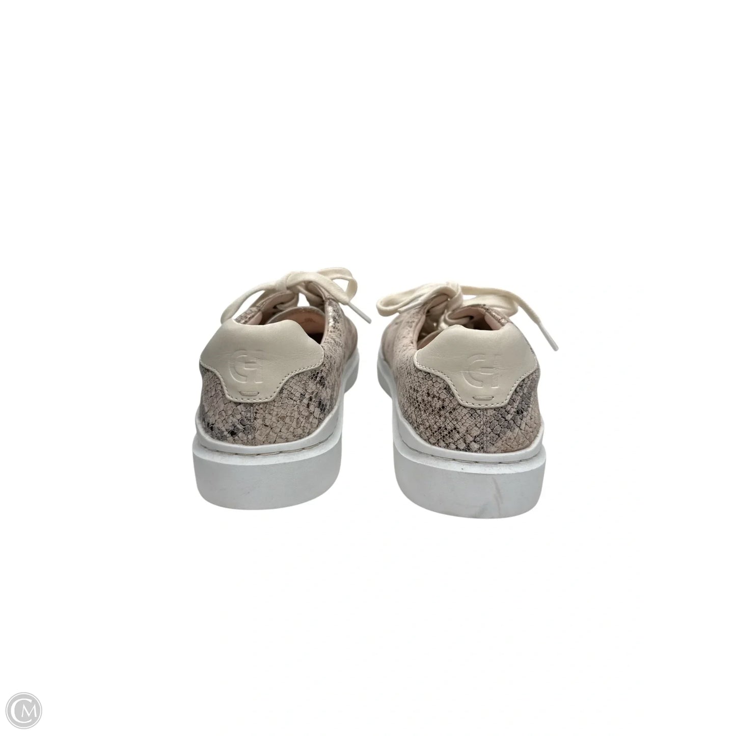 Shoes Sneakers By Cole-haan In Snakeskin Print, Size: 7.5