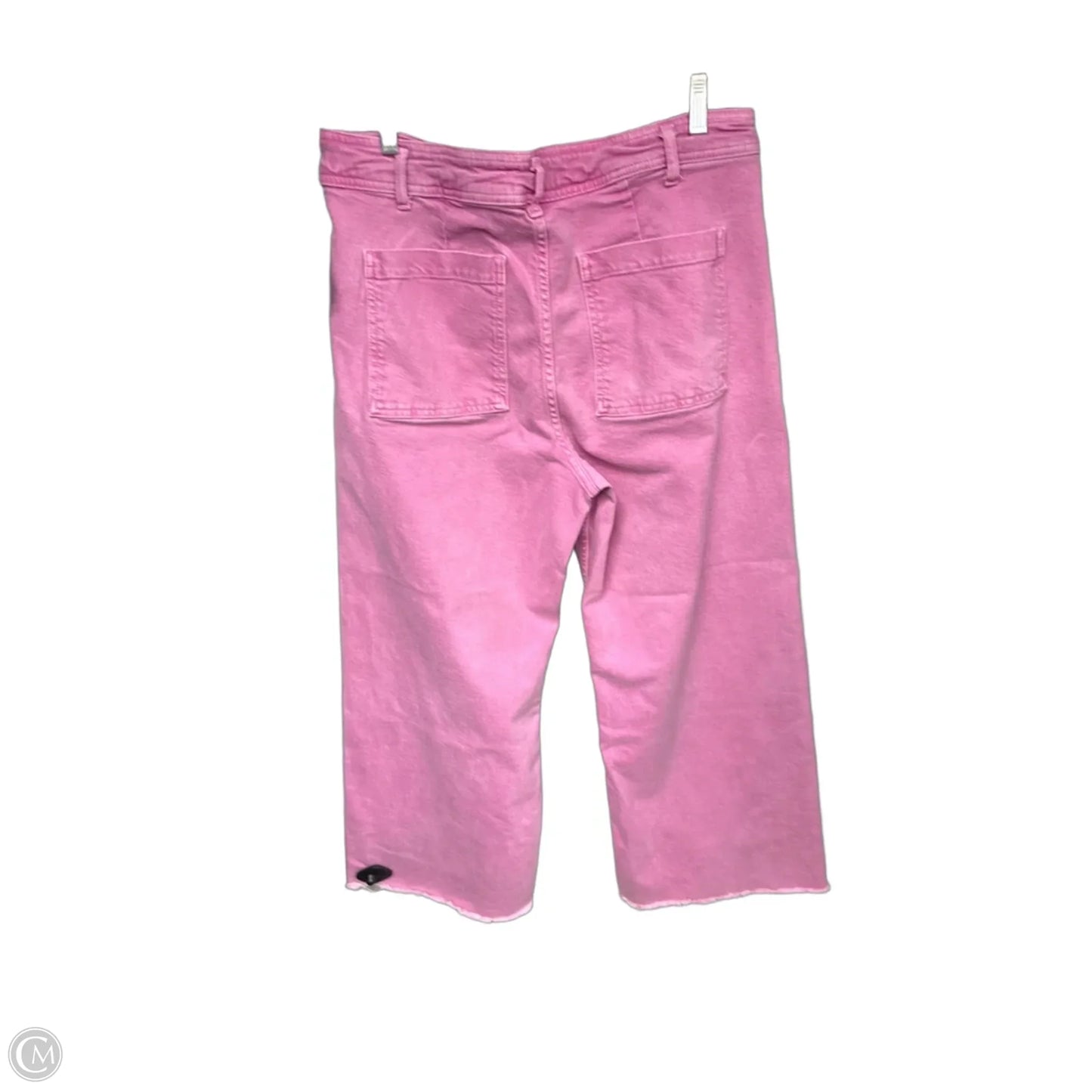 Pants Wide Leg By Zara In Pink, Size: 14