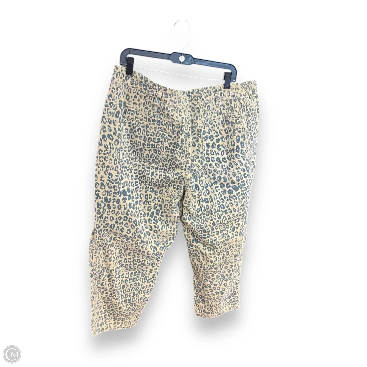 Pants Other By Pilcro In Animal Print, Size: 18