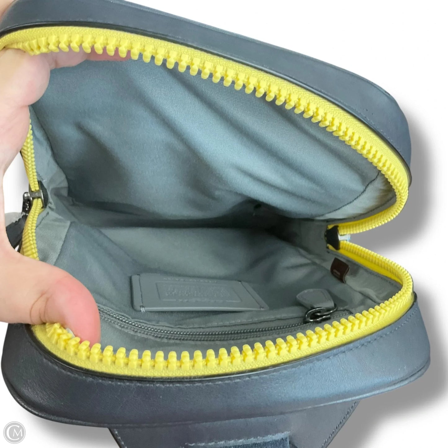 Backpack Designer By Coach, Size: Small