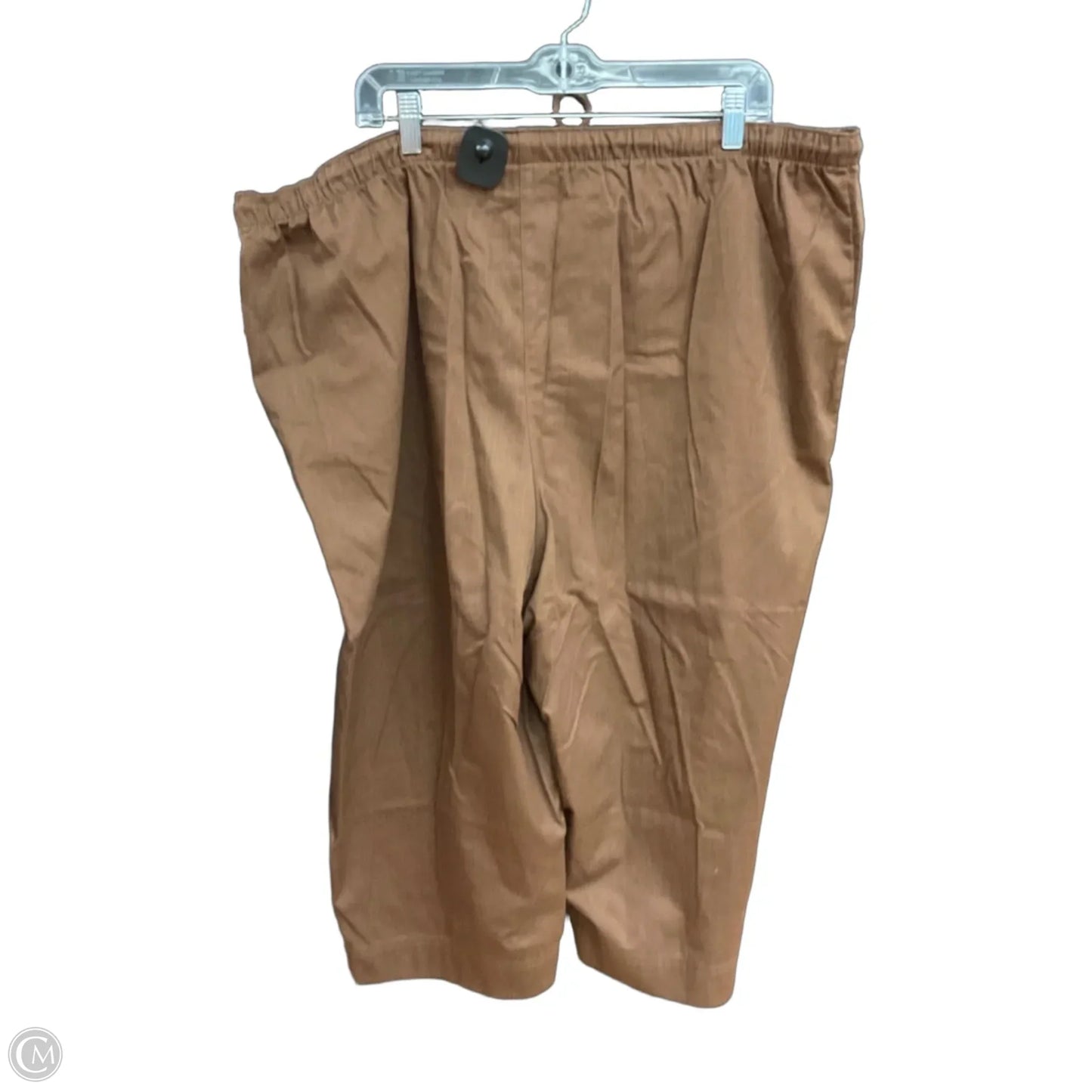Capris By Coral Bay In Brown, Size: 2x