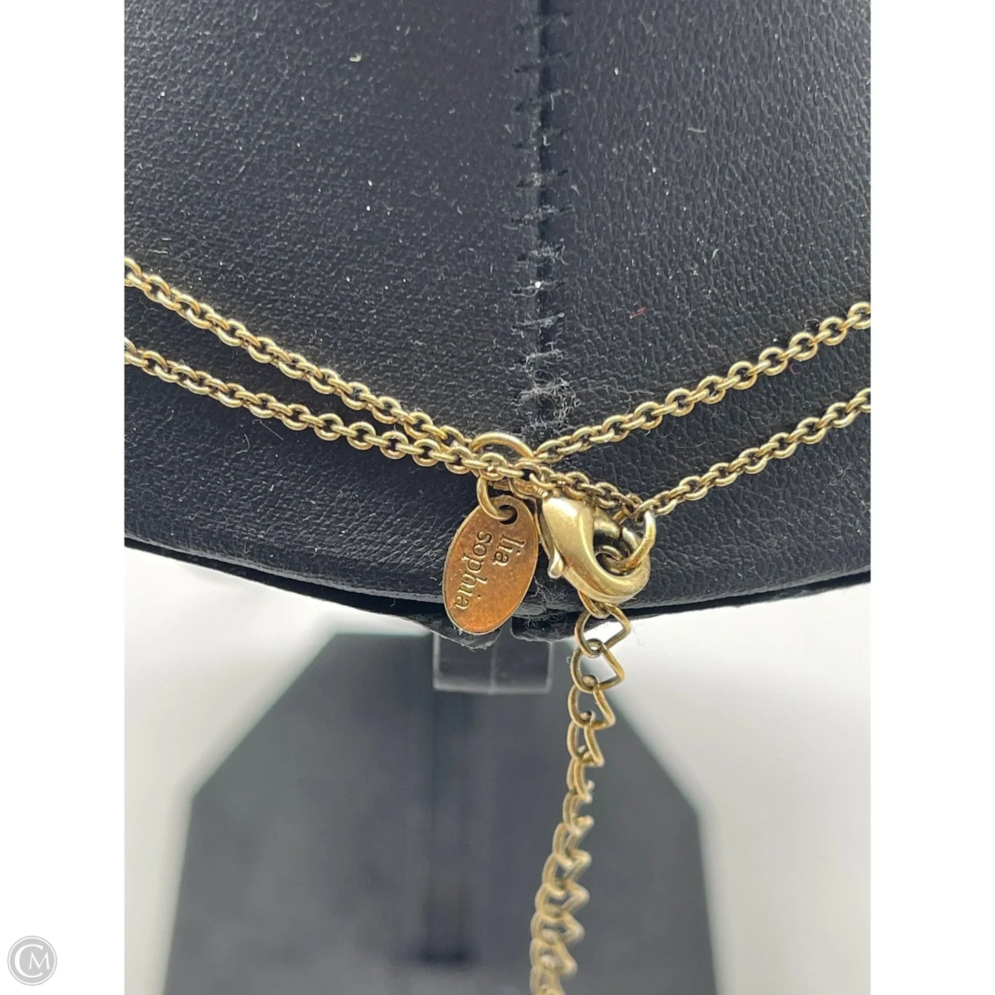 Necklace Other By Lia Sophia