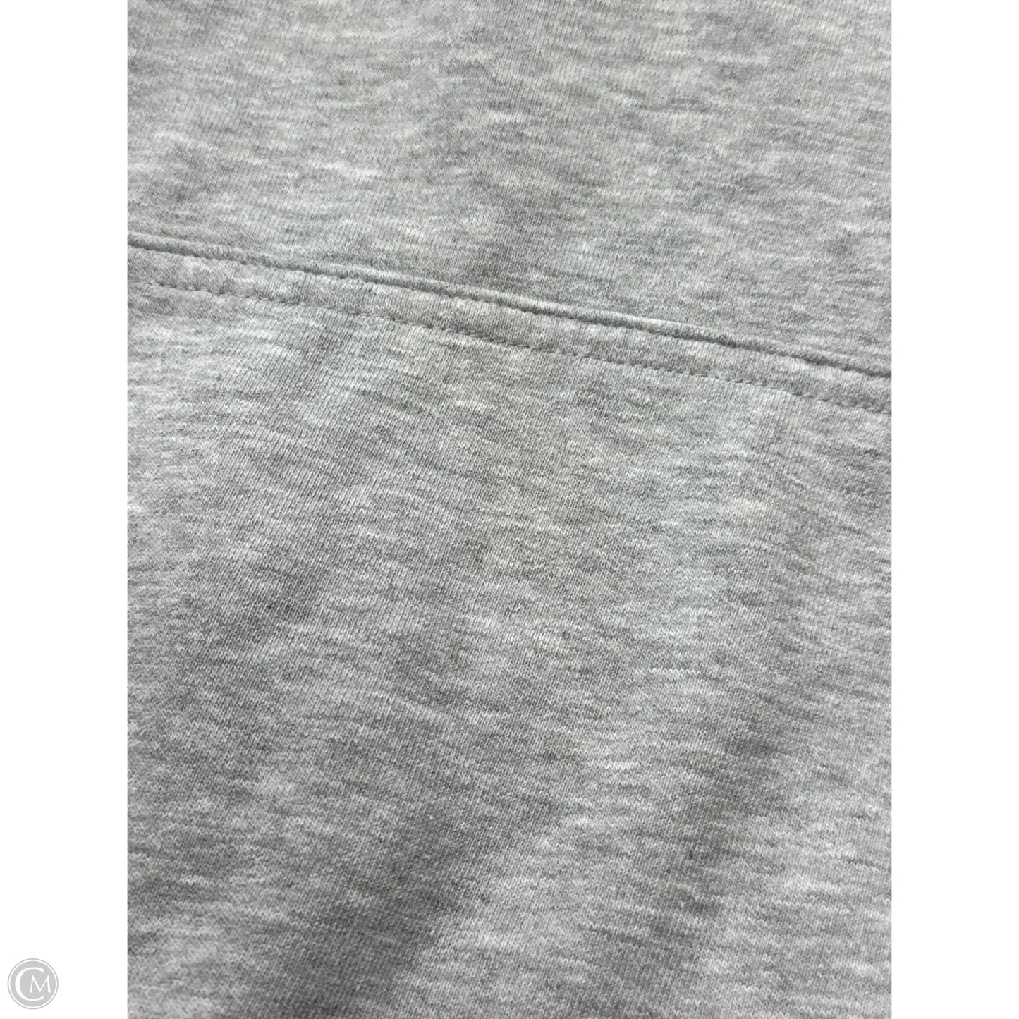 Sweatshirt Hoodie By The North Face In Grey, Size: 1x