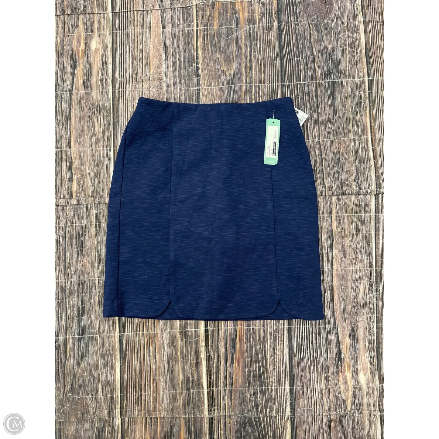 Skirt Mini & Short By Skies Are Blue In Blue, Size: M