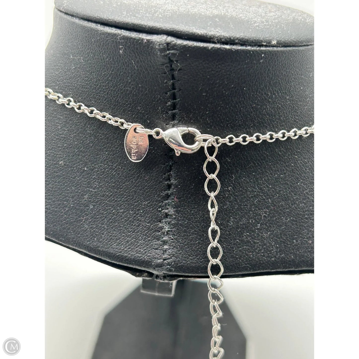 Necklace Lariat & Y-drop By Lia Sophia, Size: 0