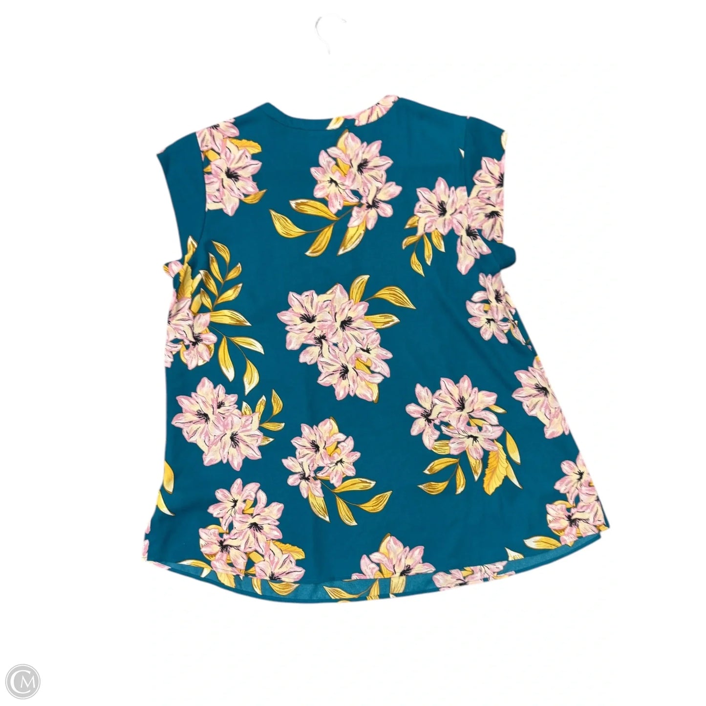 Blouse Short Sleeve By Dr2 In Teal, Size: 1x