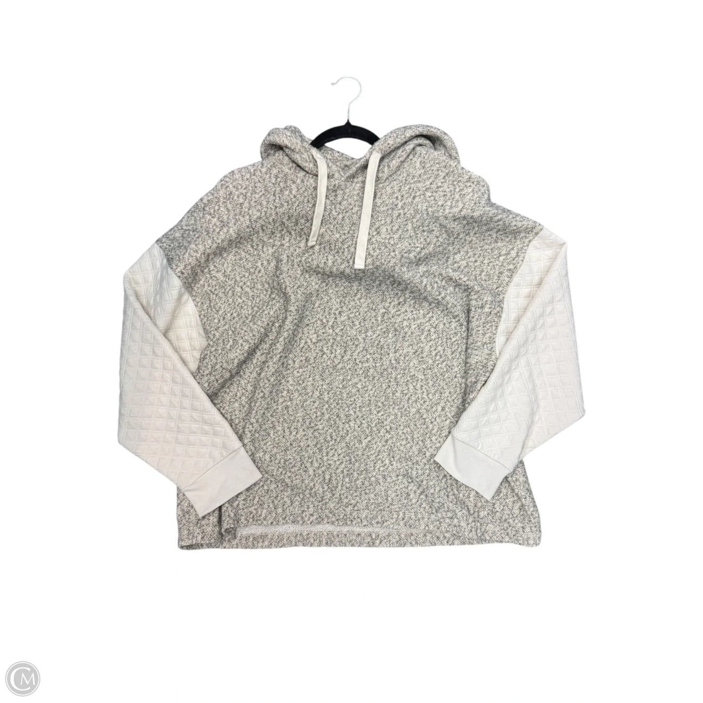 Sweatshirt Hoodie By Madewell In Grey, Size: Xl