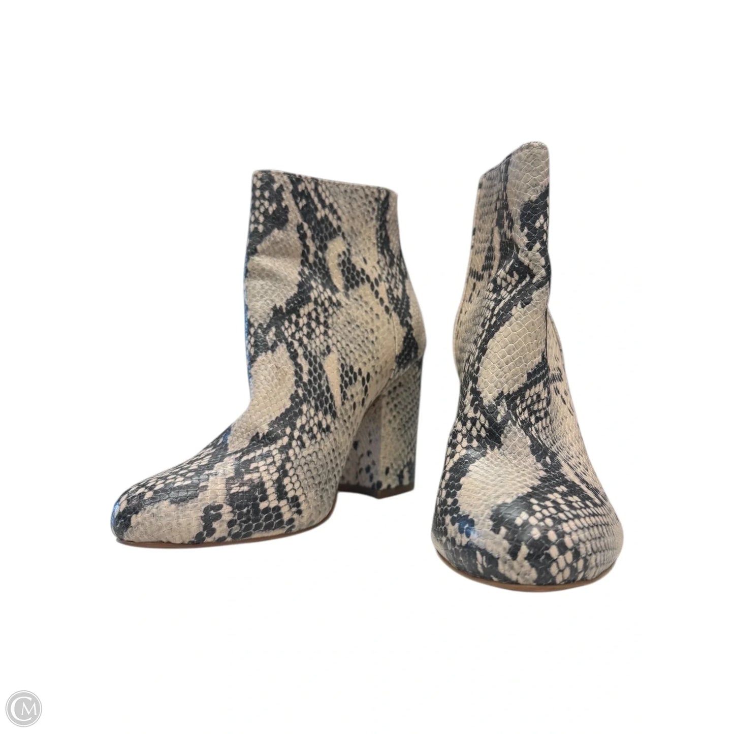 Shoes Heels Block By Steve Madden In Animal Print, Size: 5.5