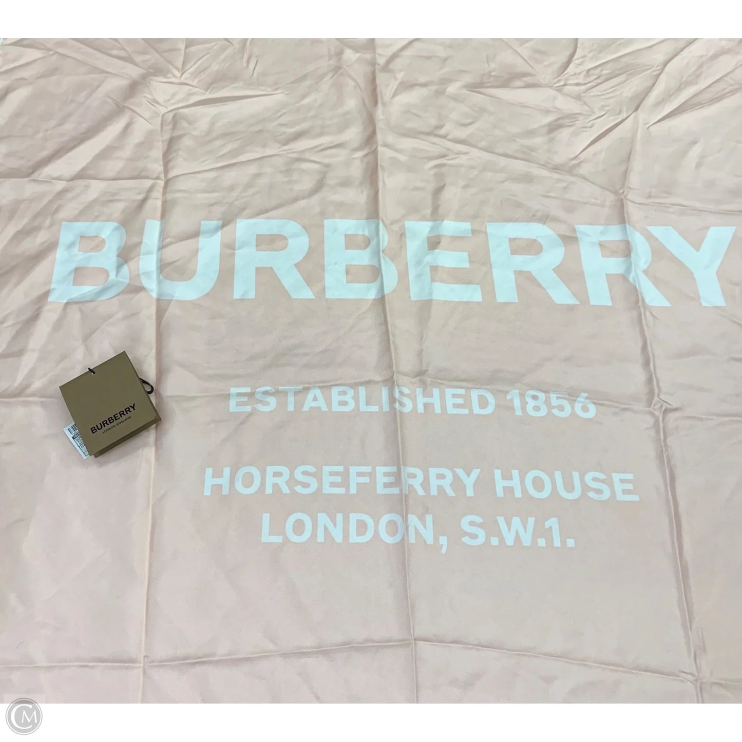Scarf Luxury Designer By Burberry