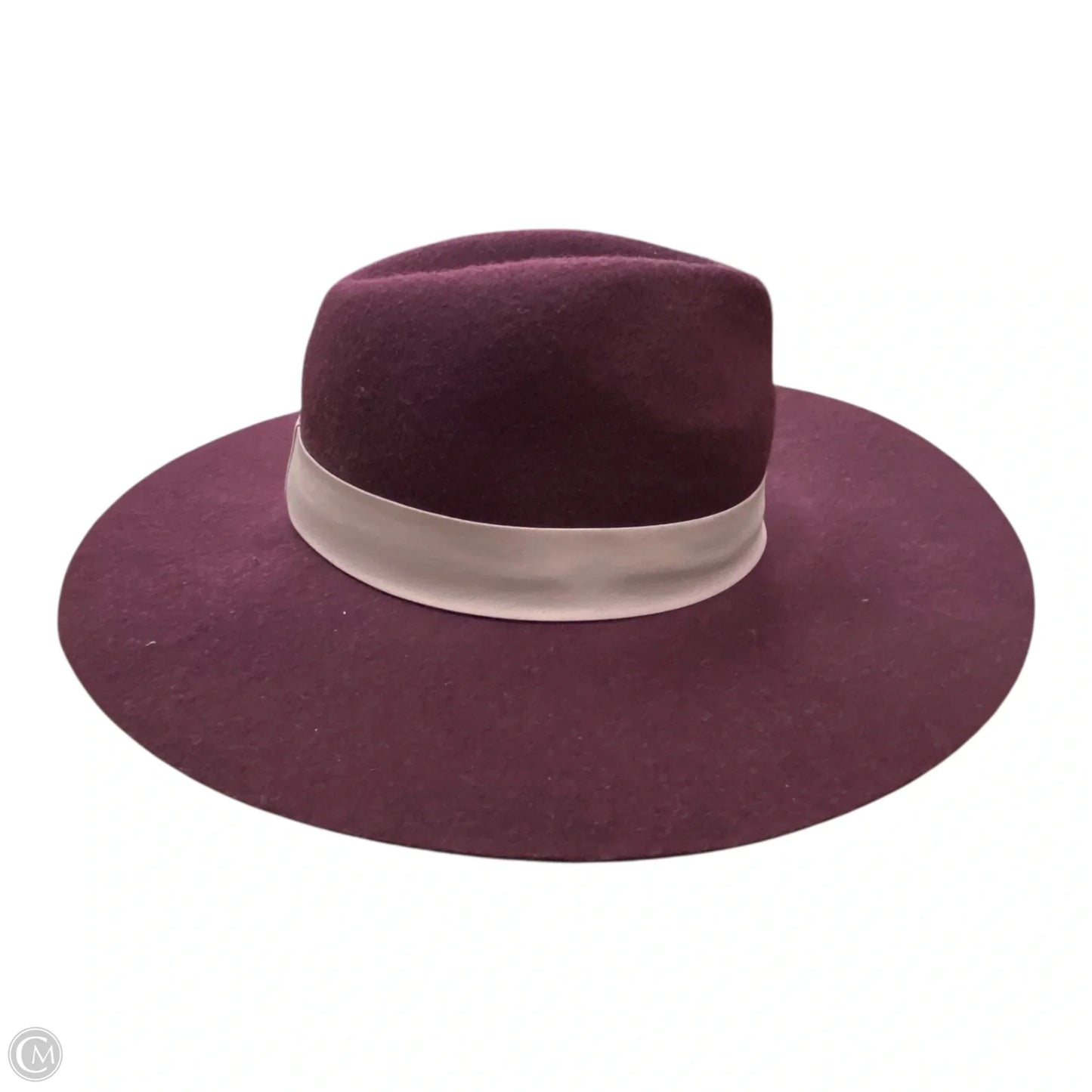 Hat Fedora By A New Day
