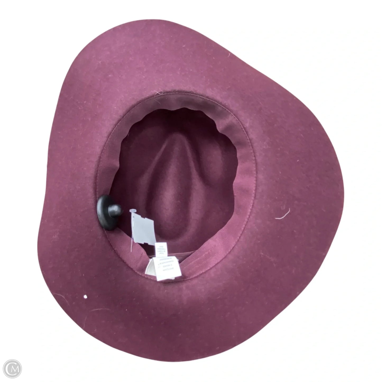 Hat Fedora By A New Day