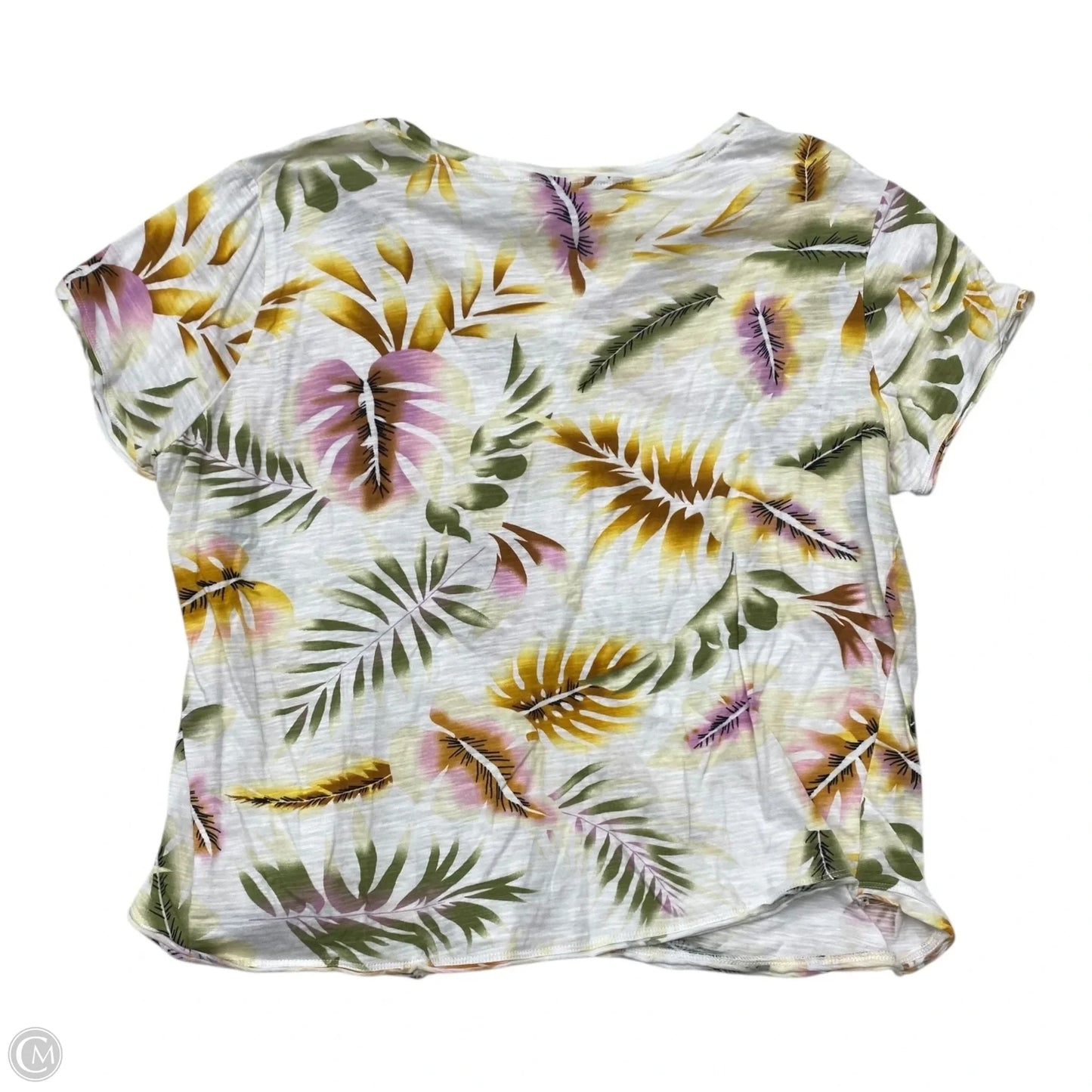 Top Short Sleeve By Charlie B In Multi-colored, Size: L
