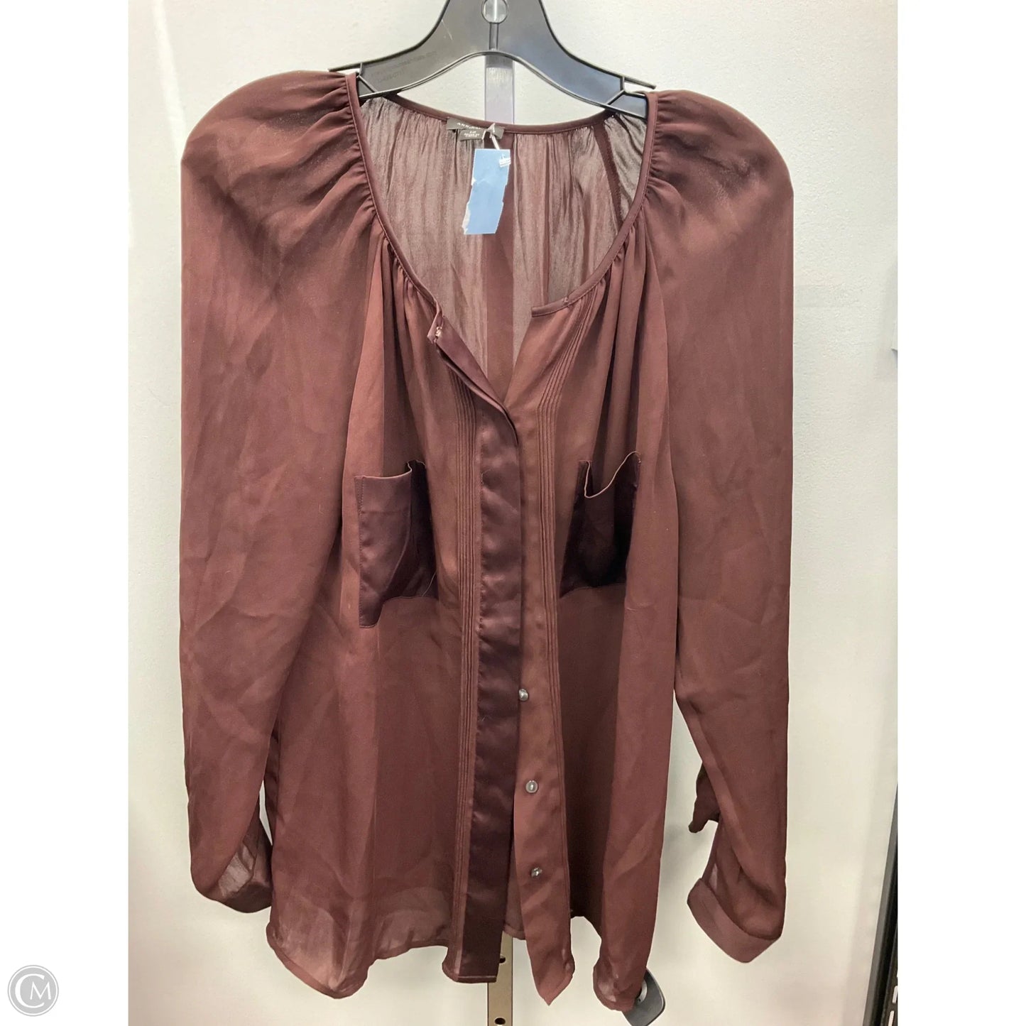Top Long Sleeve By Ann Taylor In Brown, Size: 12