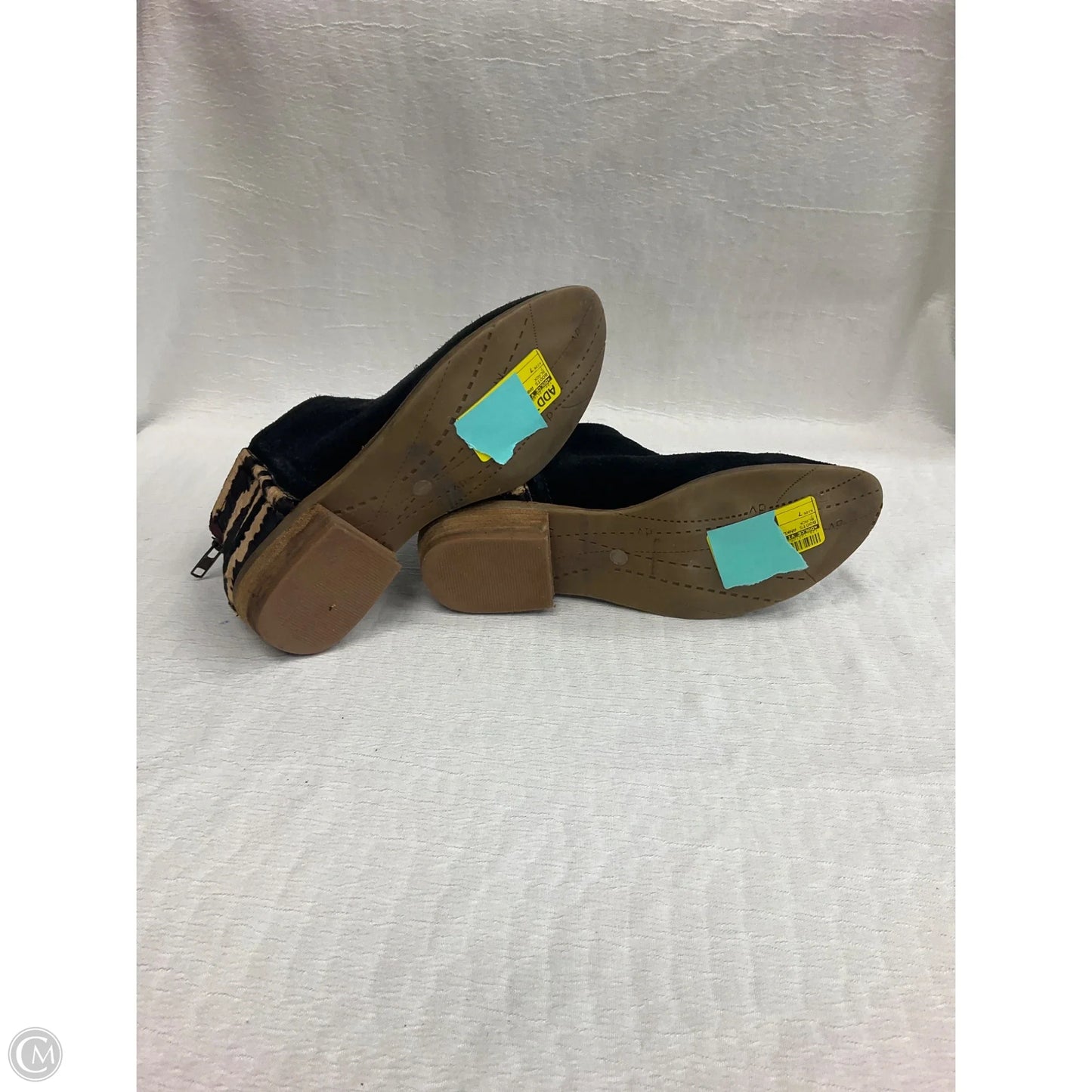 Boots Ankle Heels By Dolce Vita In Black, Size: 7