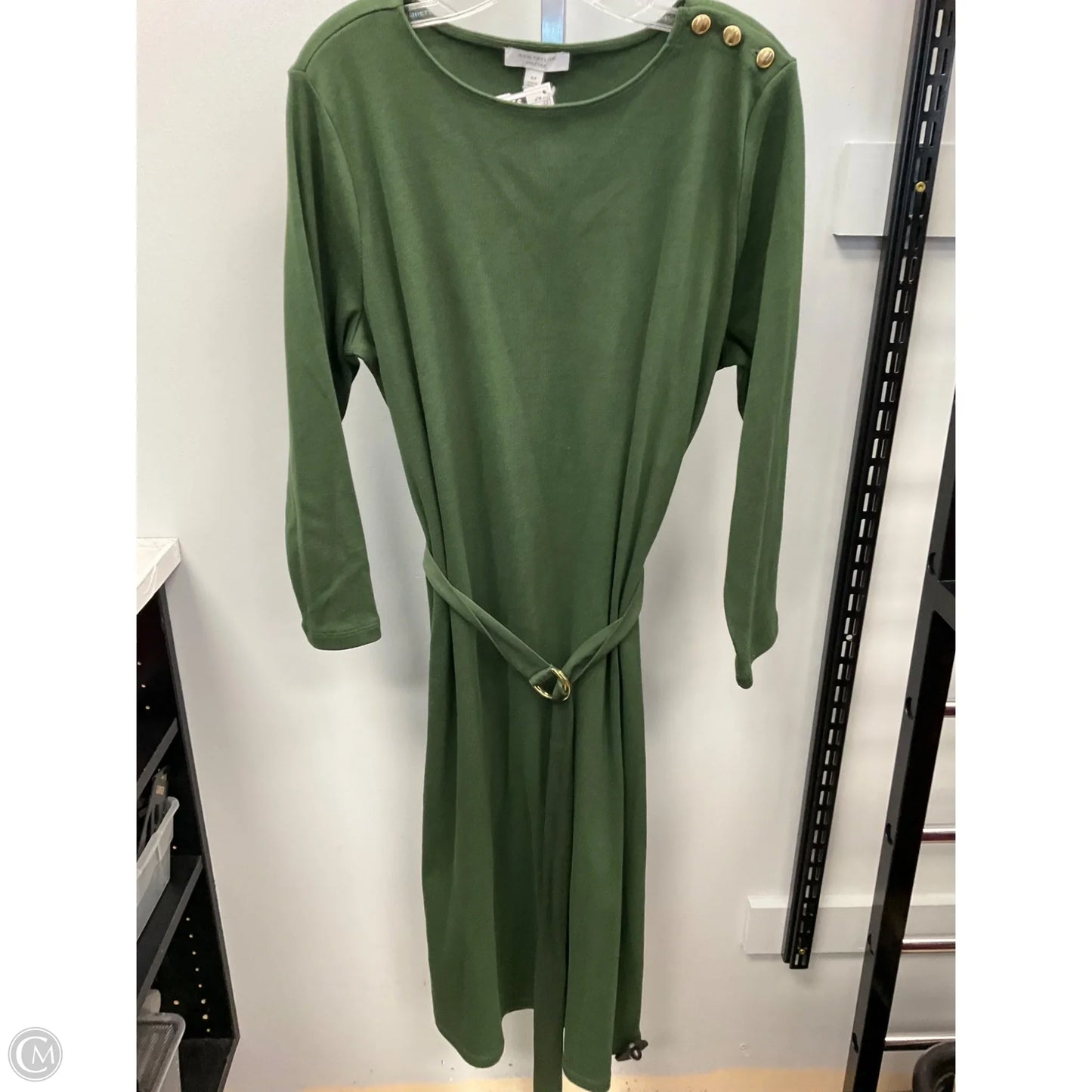 Dress Sweater By Ann Taylor In Green, Size: Xlp