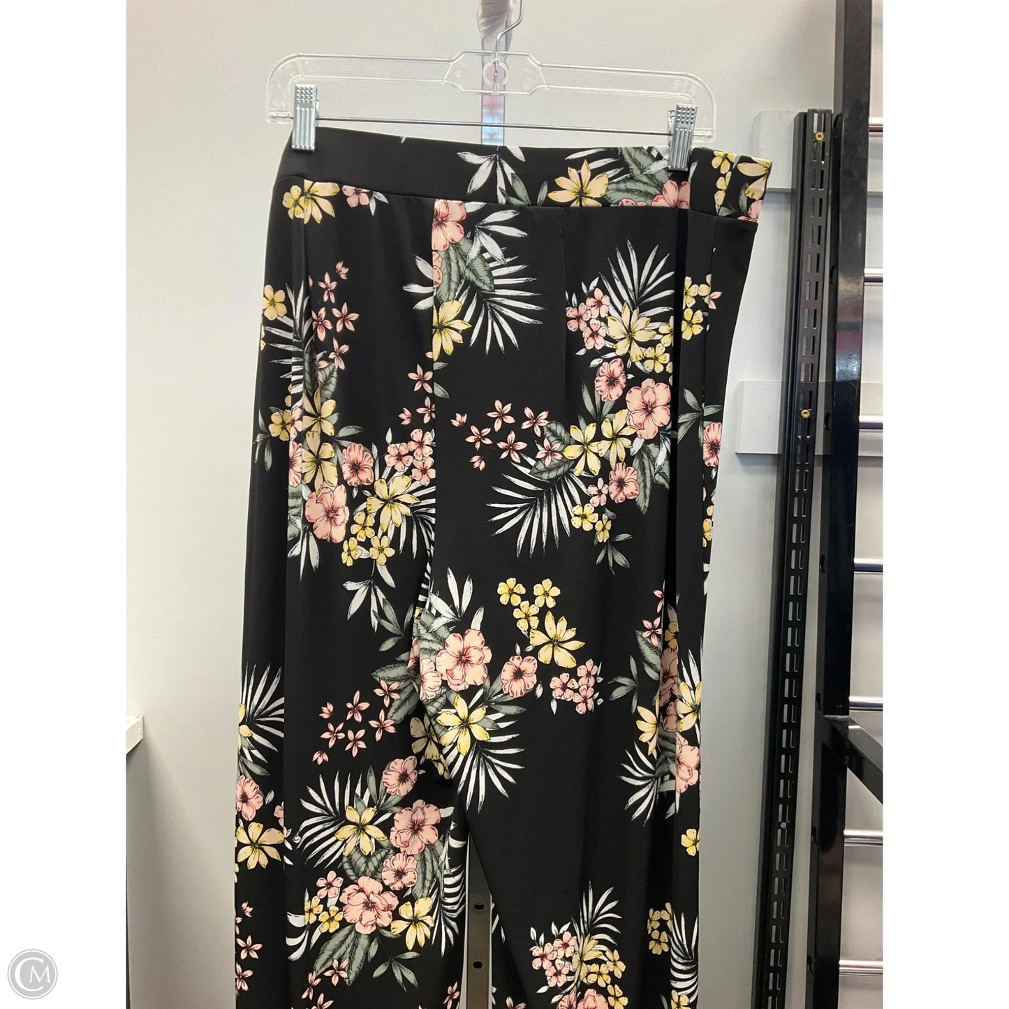 Pants Other By Roz And Ali In Black, Size: 2x