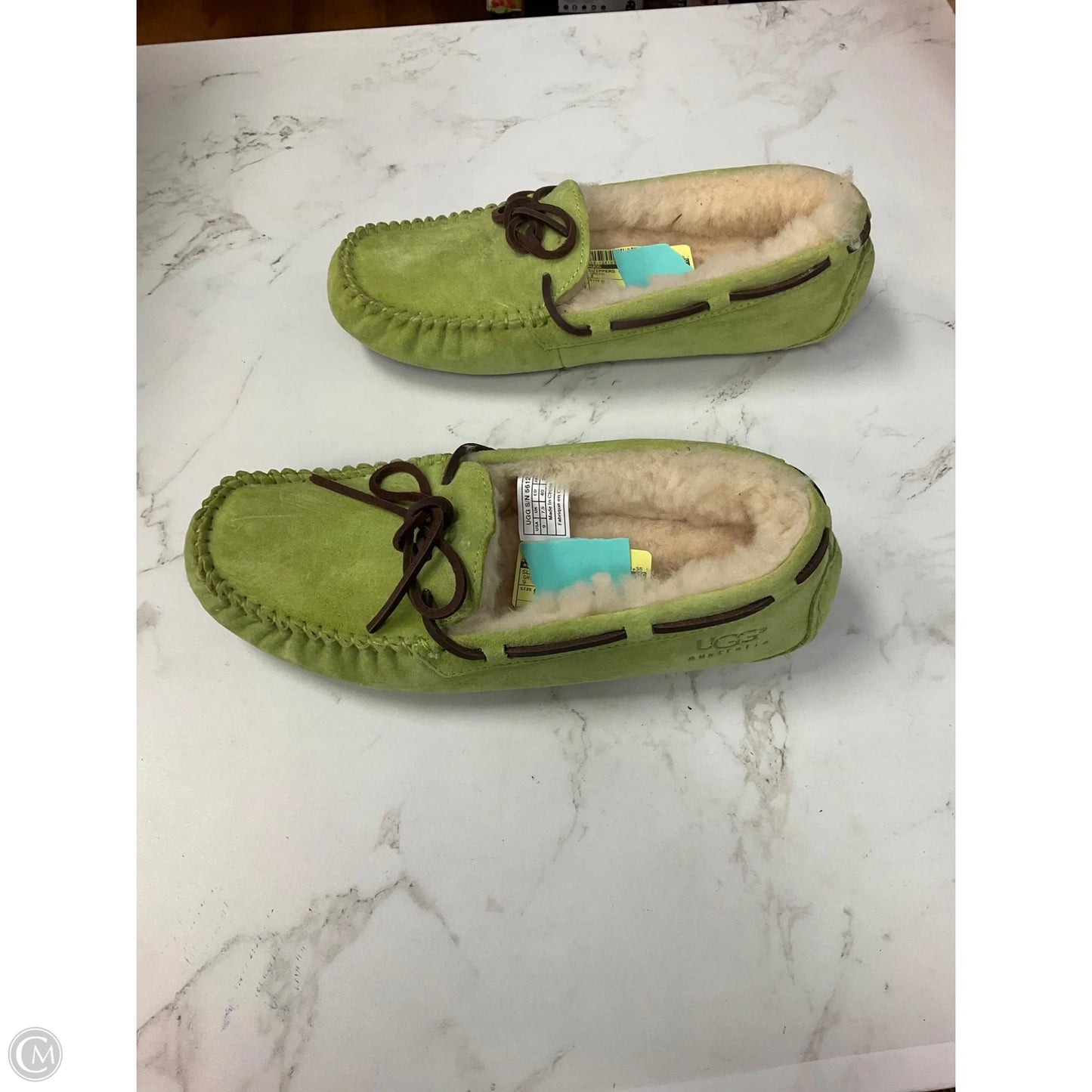 Slippers Designer By Ugg In Green, Size: 9