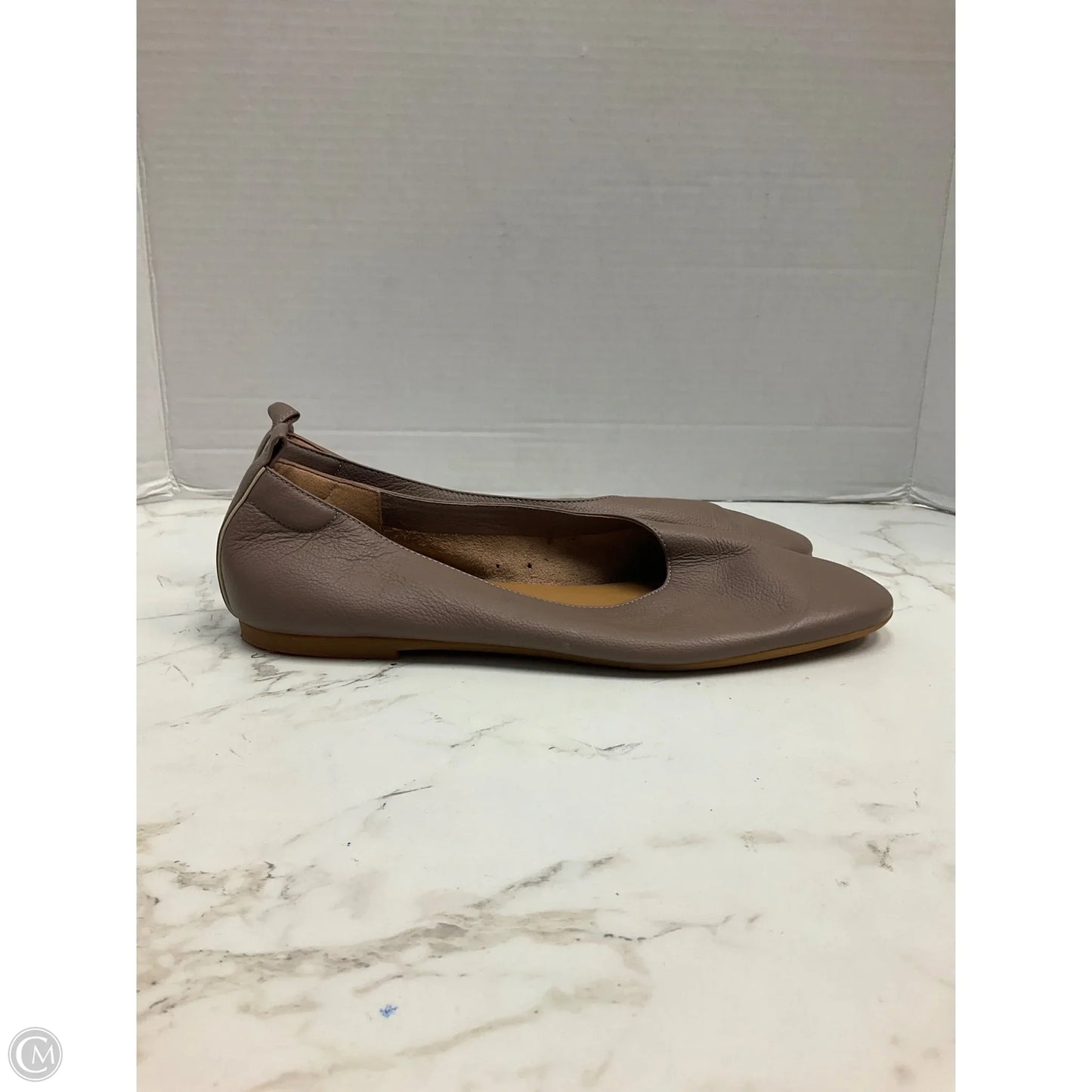 Shoes Flats By Everlane In Brown, Size: 9