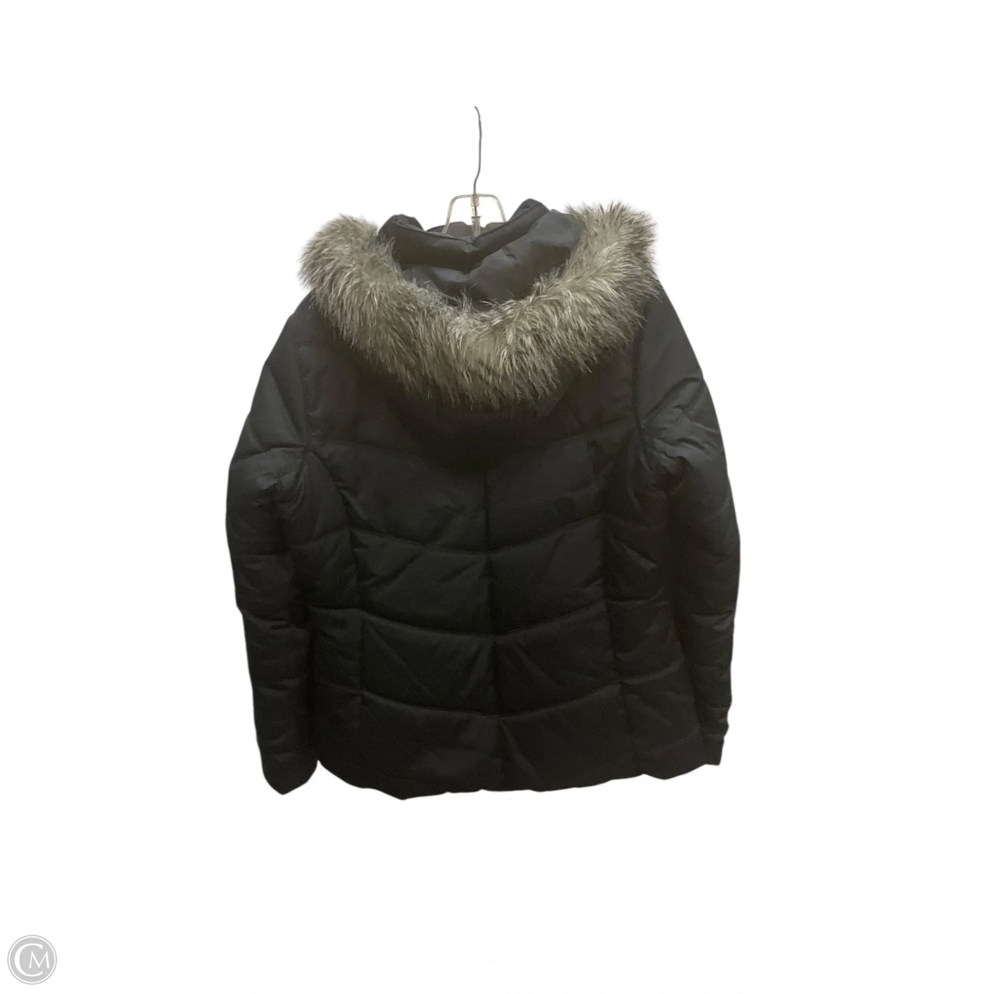 Coat Puffer & Quilted By Columbia In Black, Size: L
