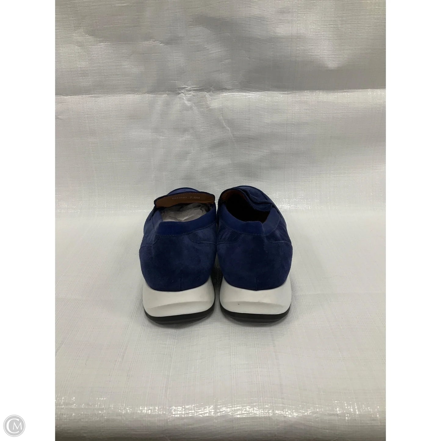 Shoes Flats By Aquatalia In Blue, Size: 7.5