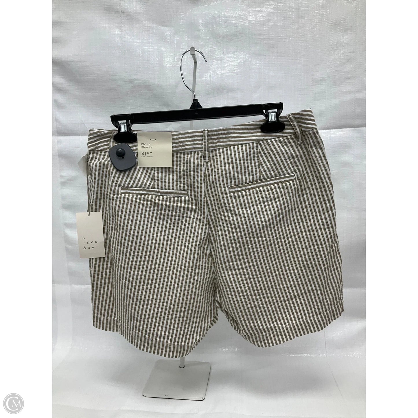 Shorts By A New Day In Brown, Size: 8