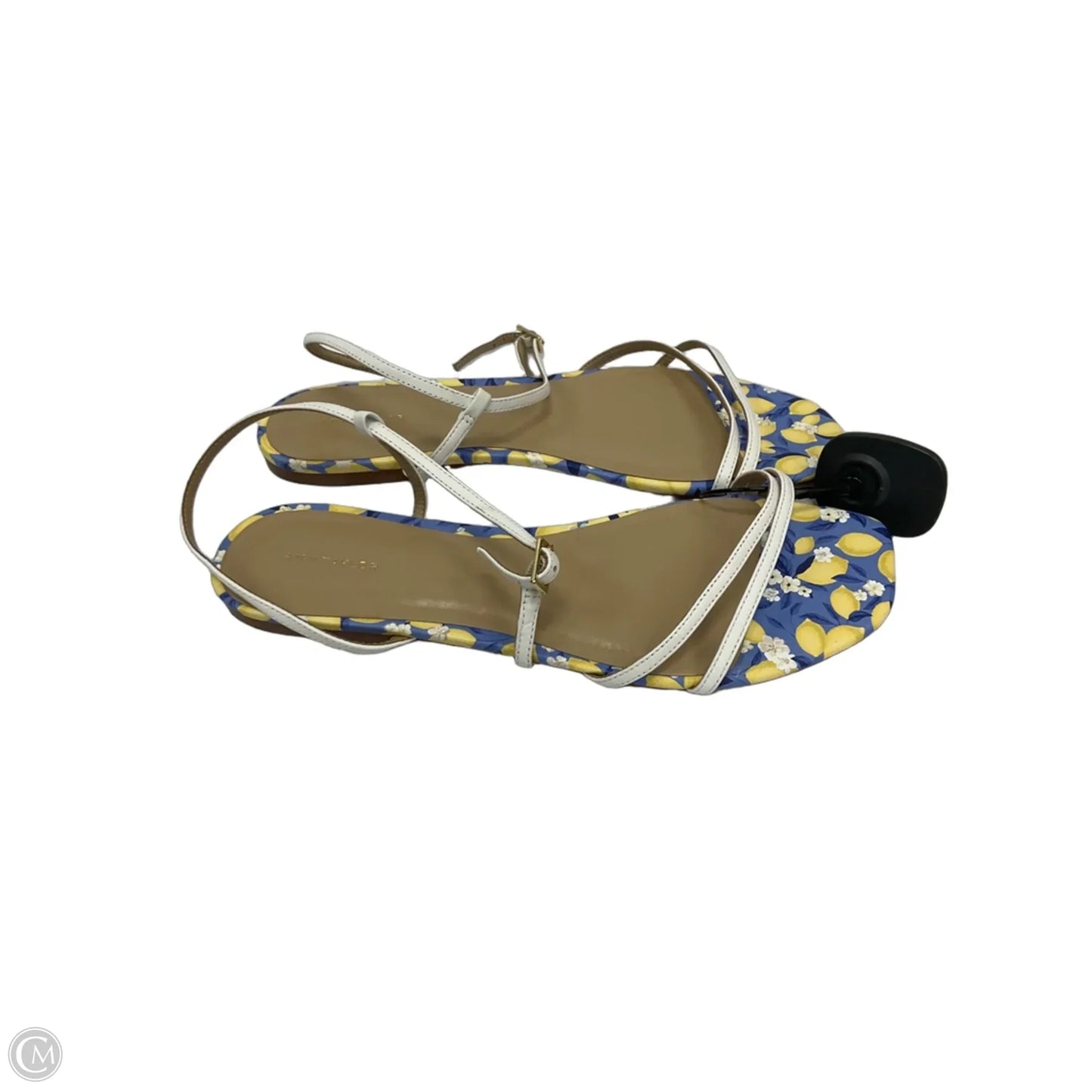 Sandals Flats By Ann Taylor In Blue, Size: 9.5