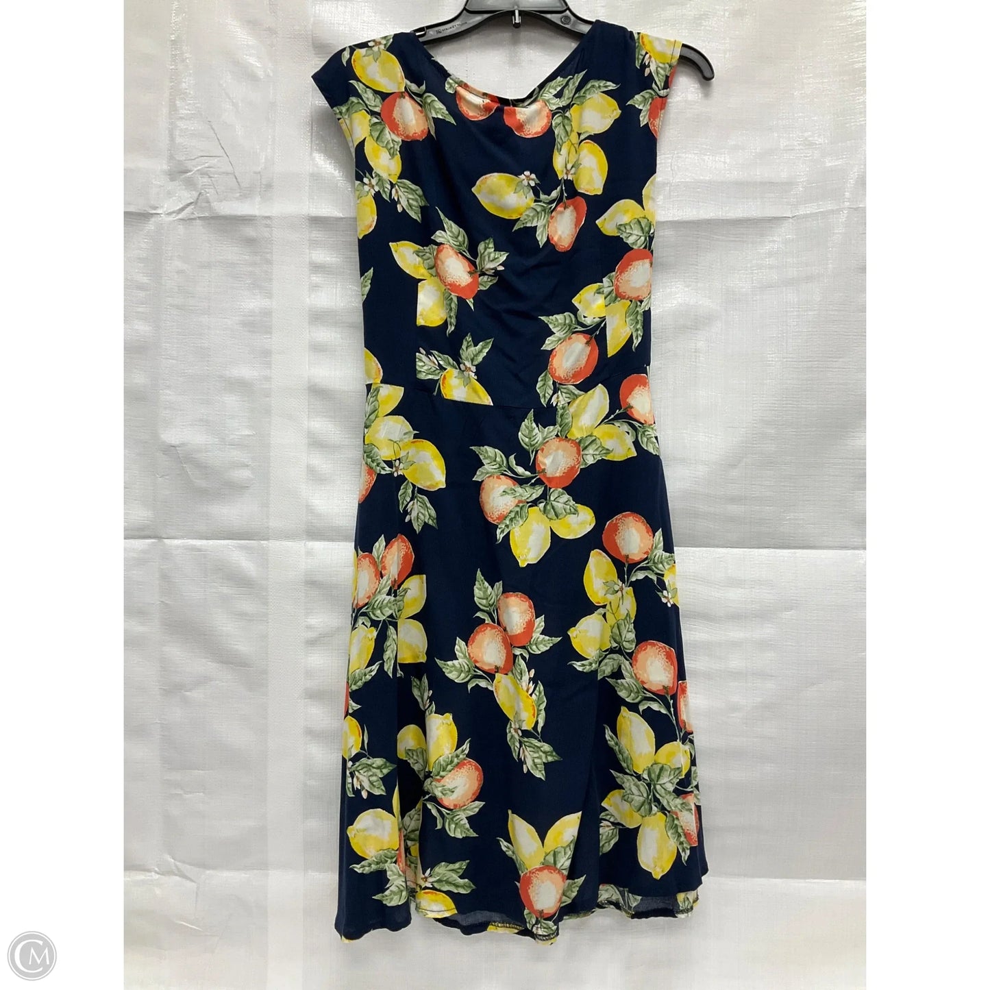 Dress Casual Short By Clothes Mentor In Blue, Size: 16