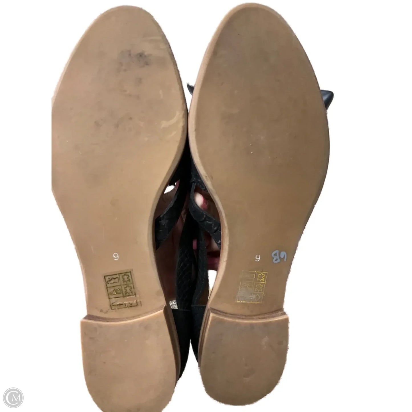 Shoes Flats By Jeffrey Campbell In Black & Brown, Size: 9