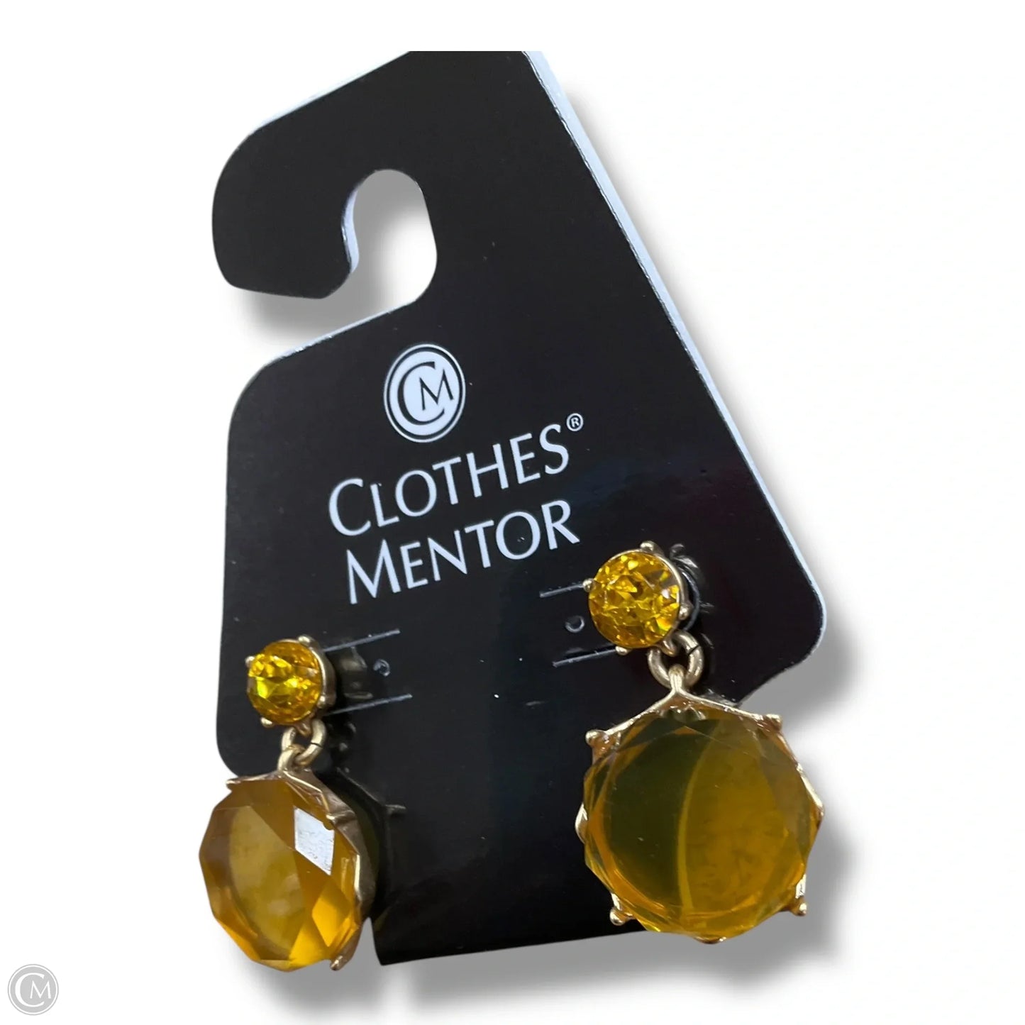 Earrings Dangle/drop By Clothes Mentor