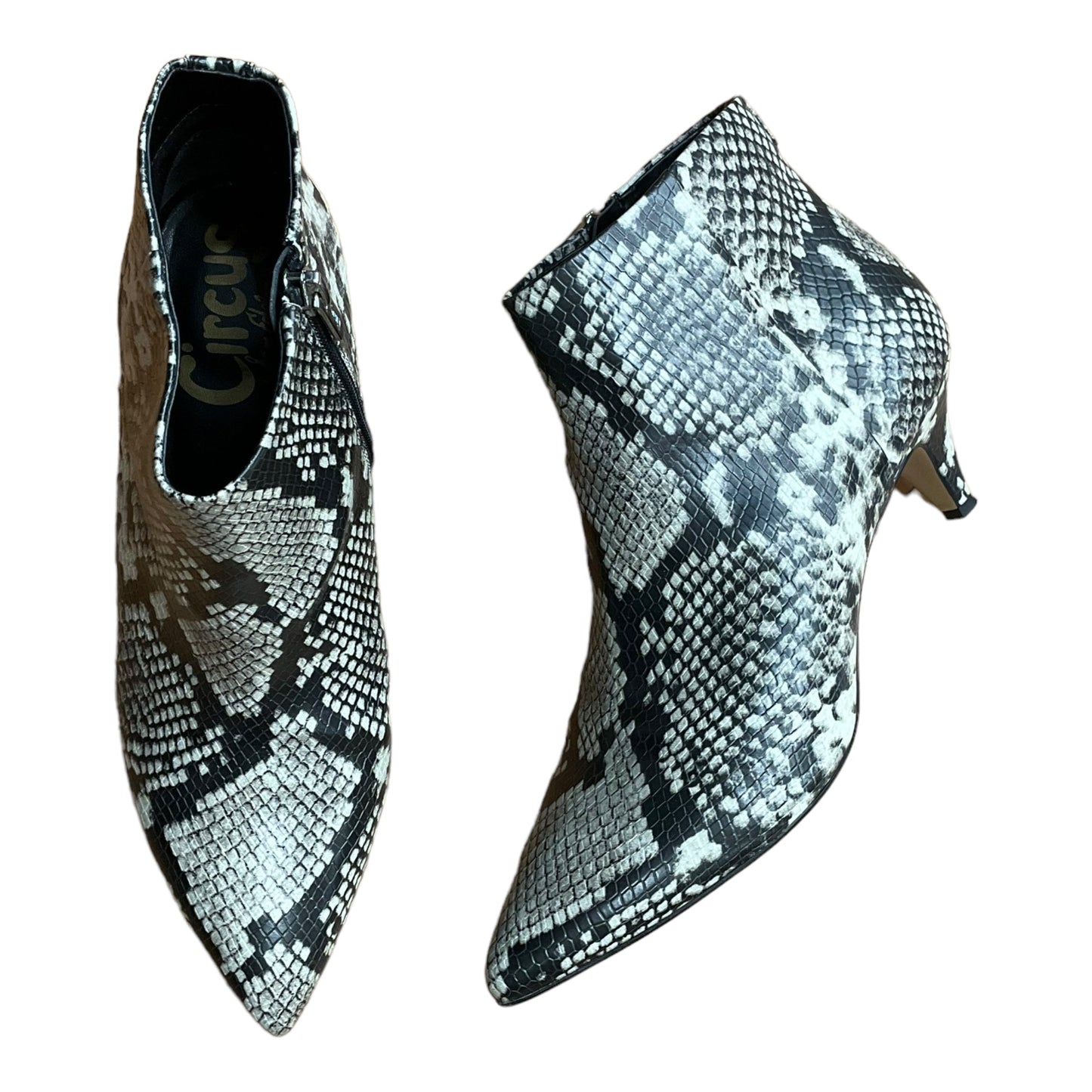 Boots Ankle Heels By Circus By Sam Edelman Size: 8.5