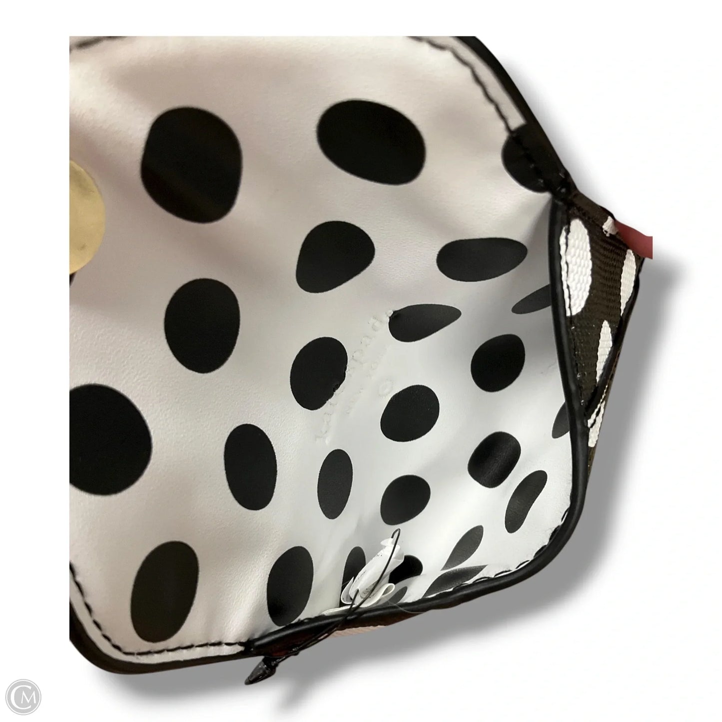 Coin Purse By Target-designer, Size: Small