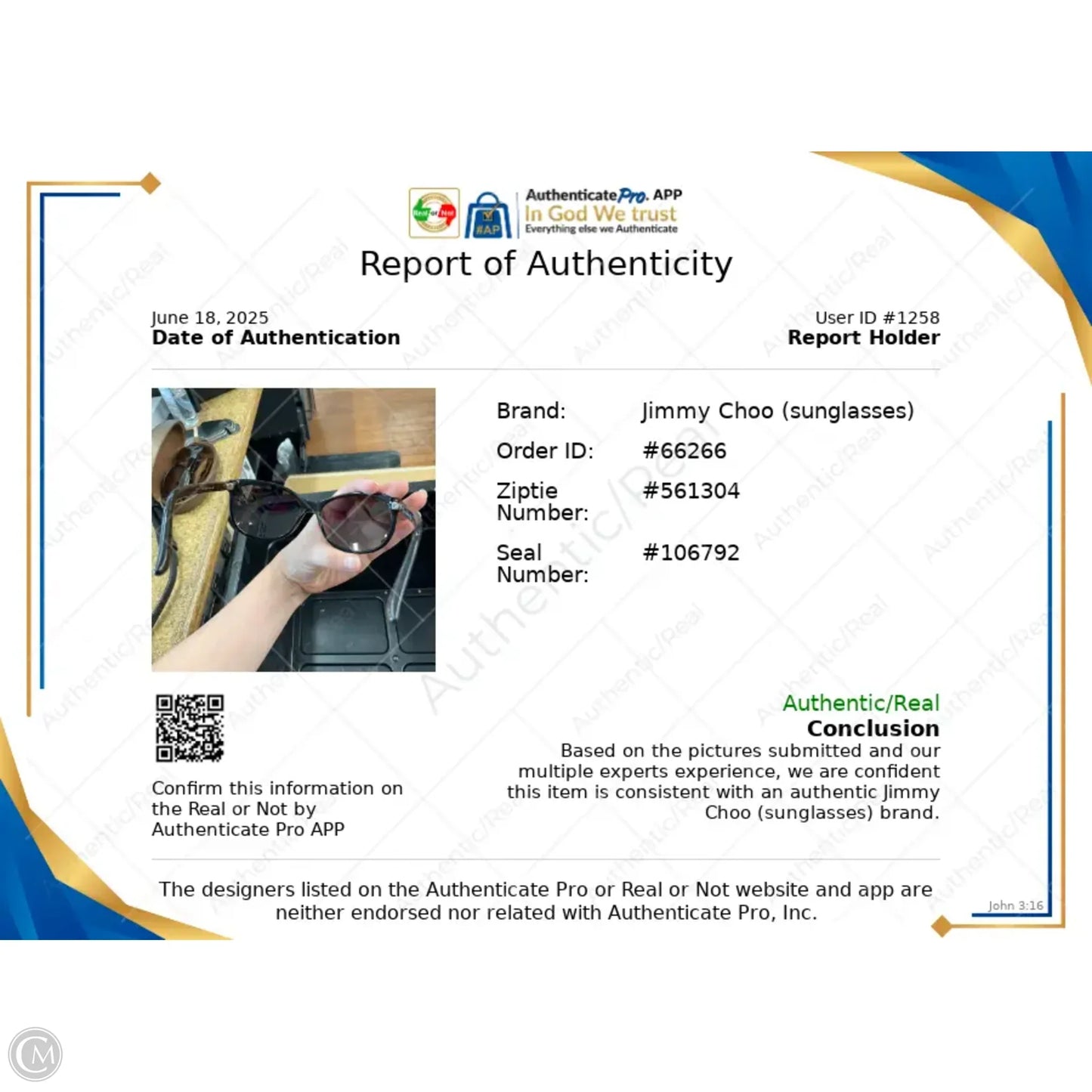 Sunglasses Luxury Designer By Jimmy Choo