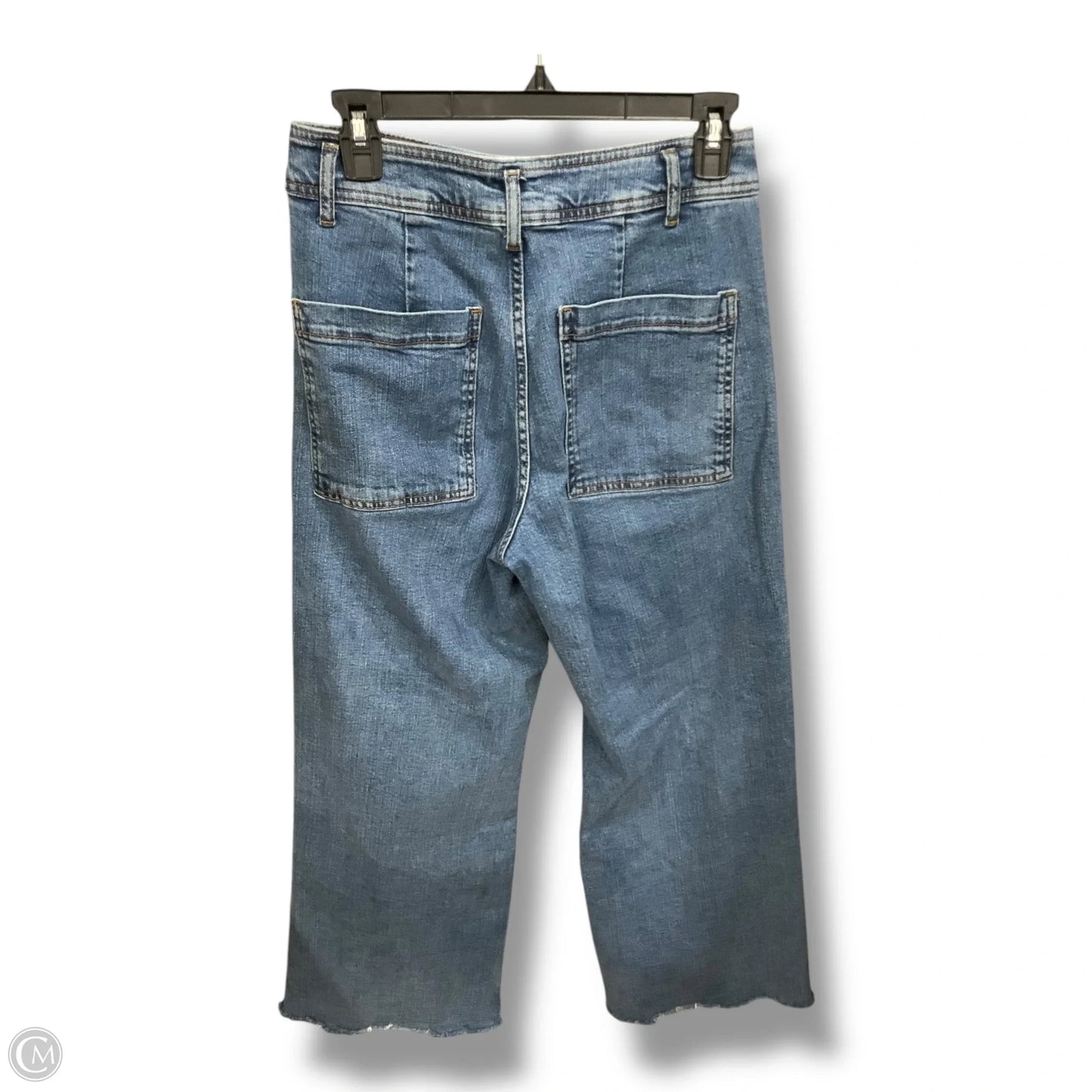 Jeans Wide Leg By Zara In Blue, Size: 6