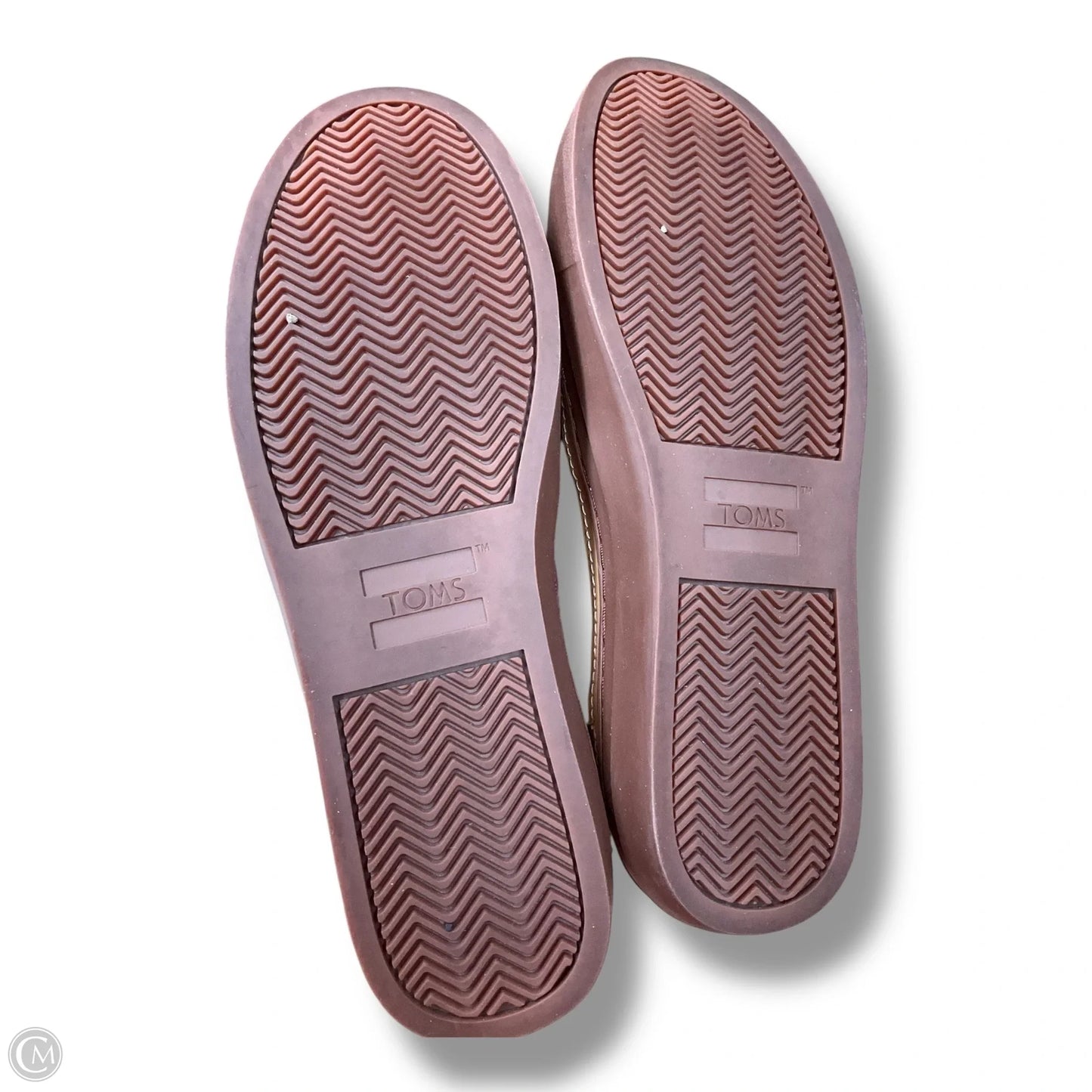Shoes Sneakers By Toms In Maroon, Size: 9