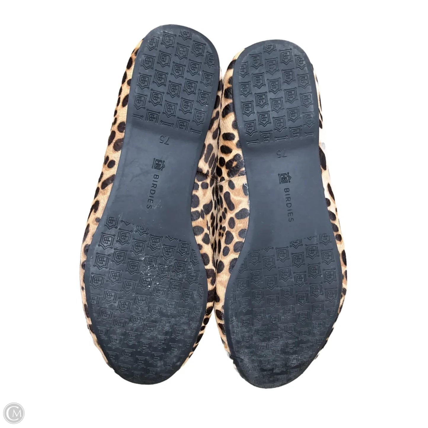 Shoes Flats By Birdies In Animal Print, Size: 7.5