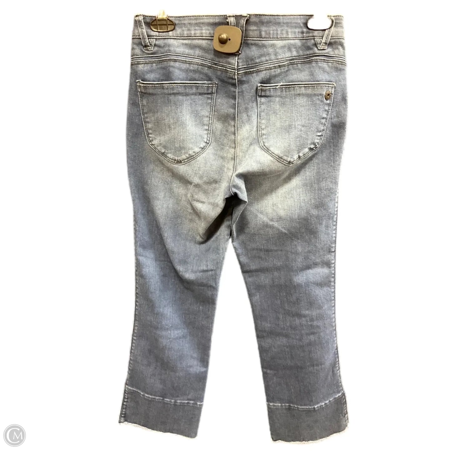 Jeans Straight By Democracy In Blue Denim, Size: 2