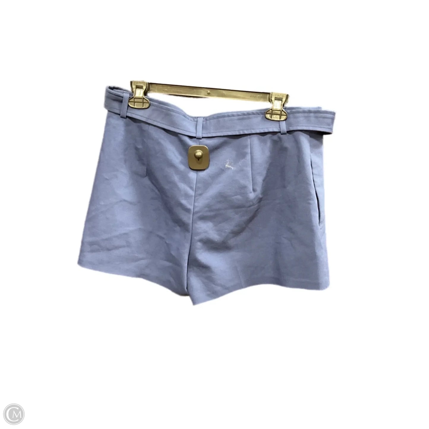 Shorts By Express In Blue, Size: 10