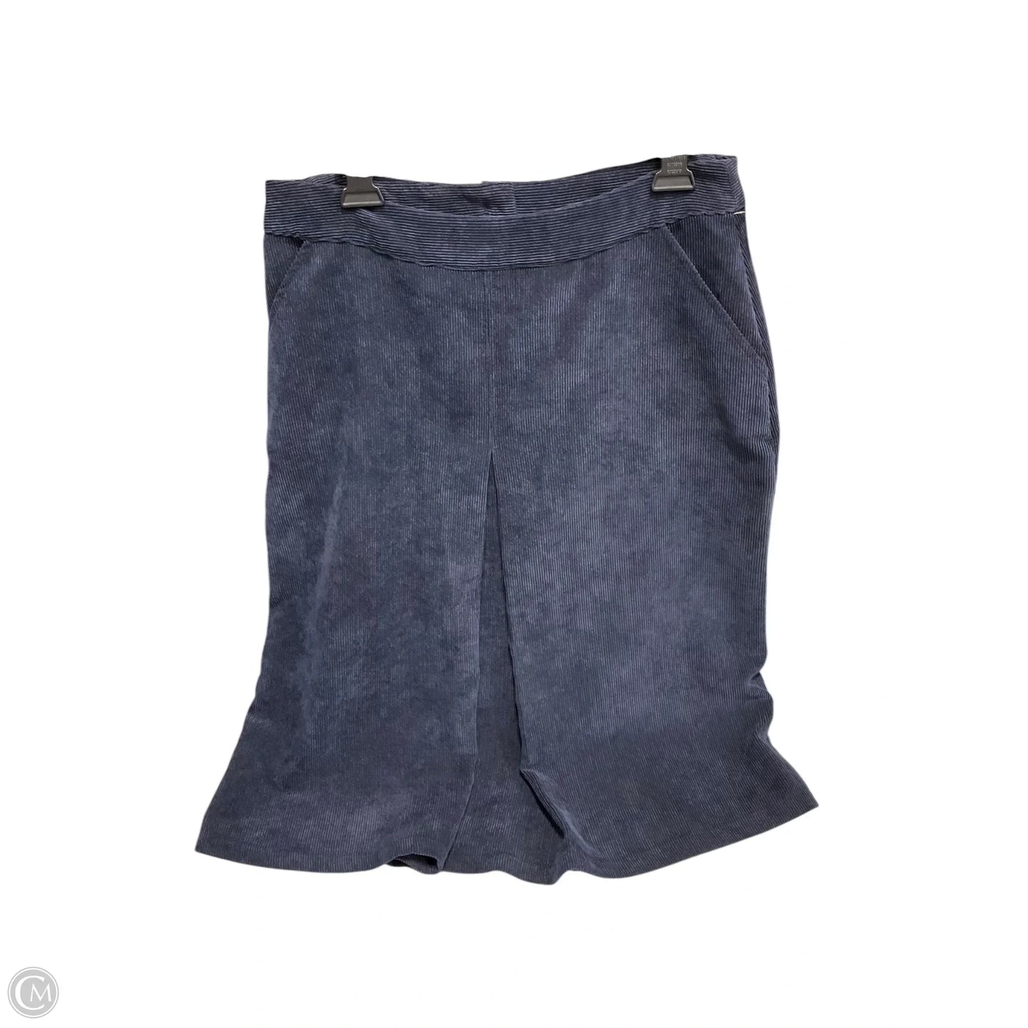 Skirt Midi By Christopher And Banks In Blue, Size: 10