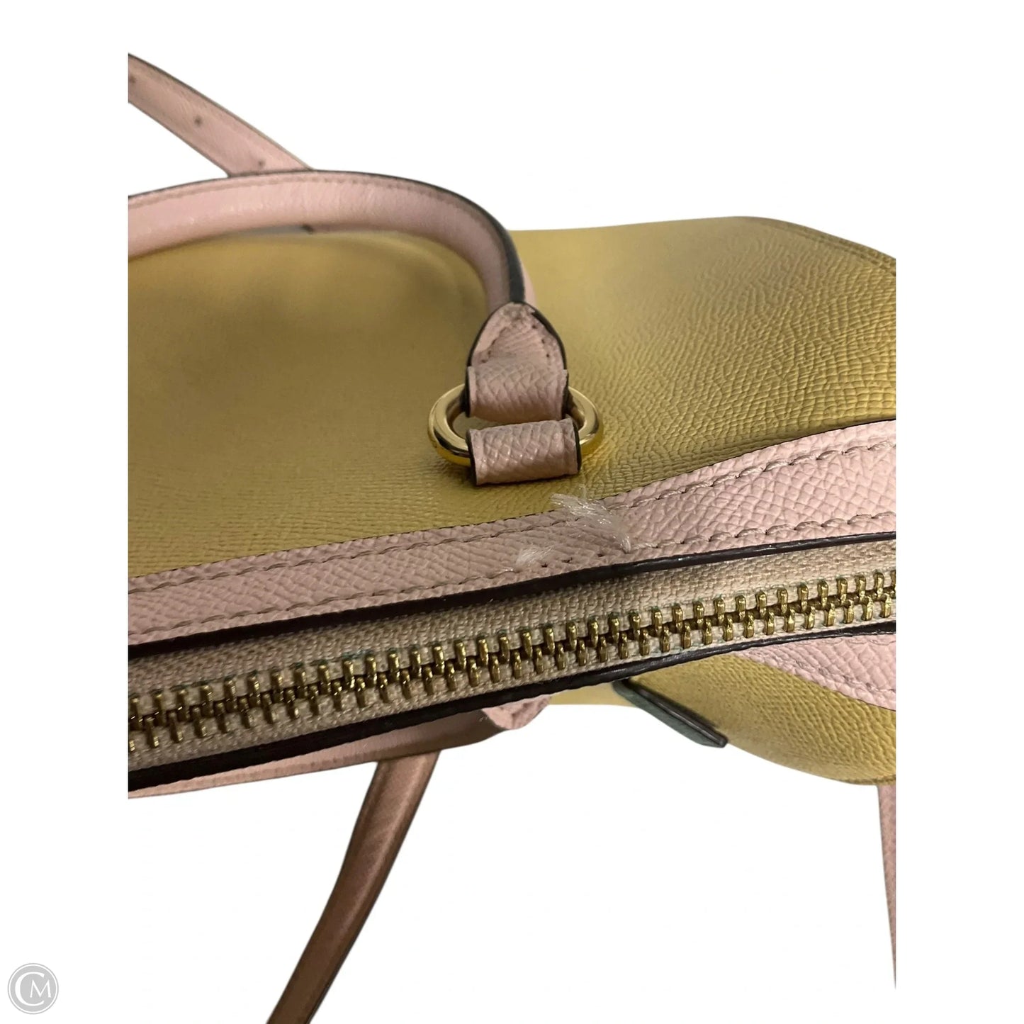 Crossbody Designer By Coach, Size: Large