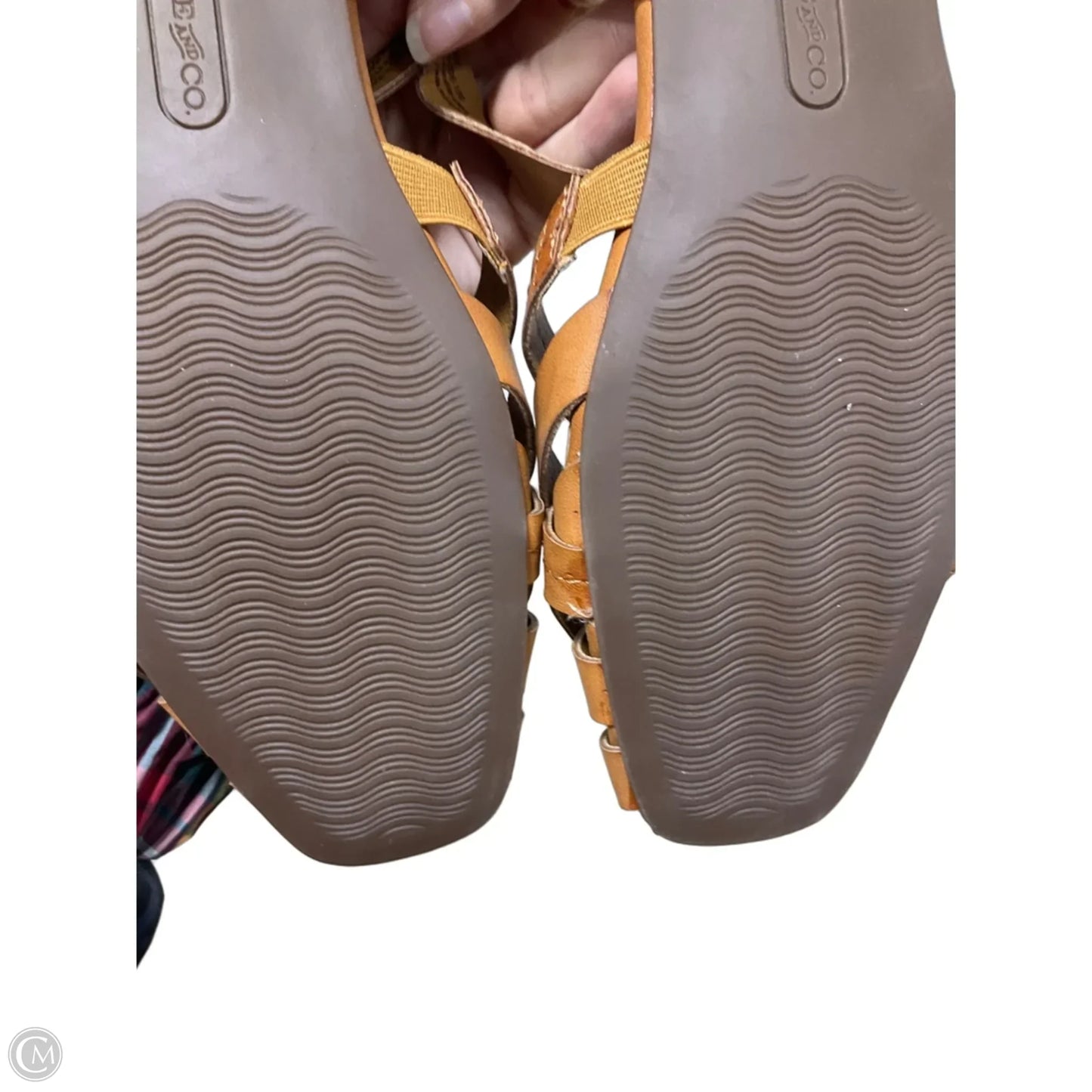 Shoes Flats By Frye And Co In Brown, Size: 9