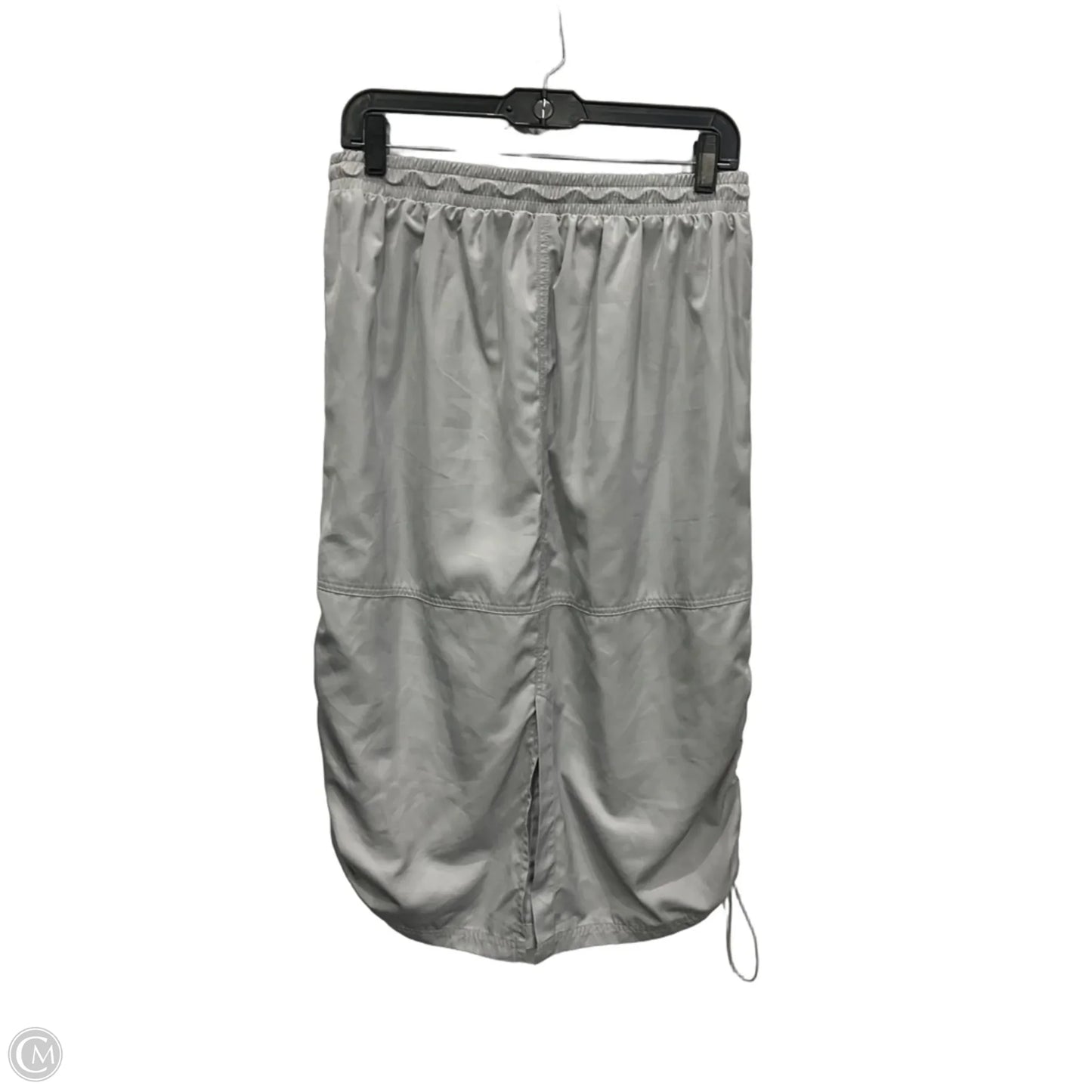 Skirt Maxi By Wild Fable In Grey, Size: 8