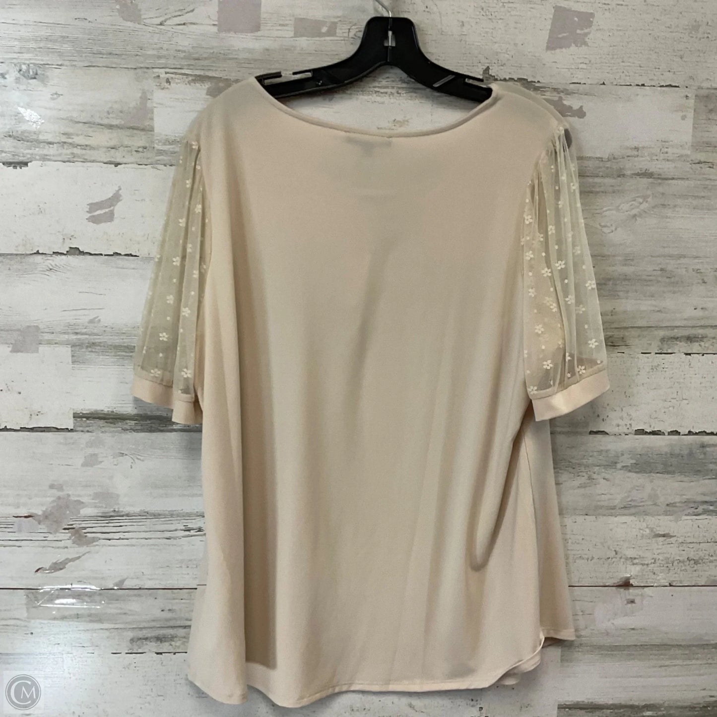 Blouse Short Sleeve By Adrianna Papell In Tan, Size: 1x