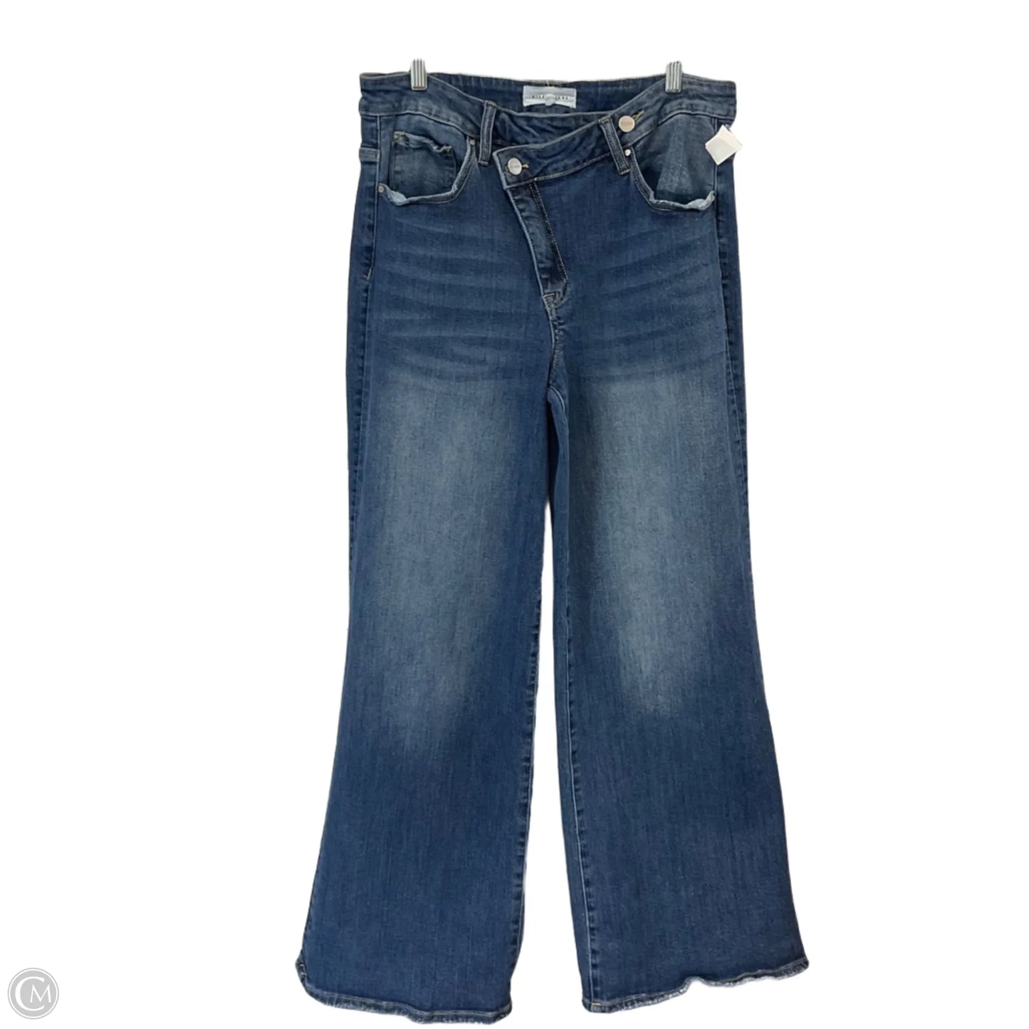 Jeans Wide Leg By Risen In Blue Denim, Size: 1x