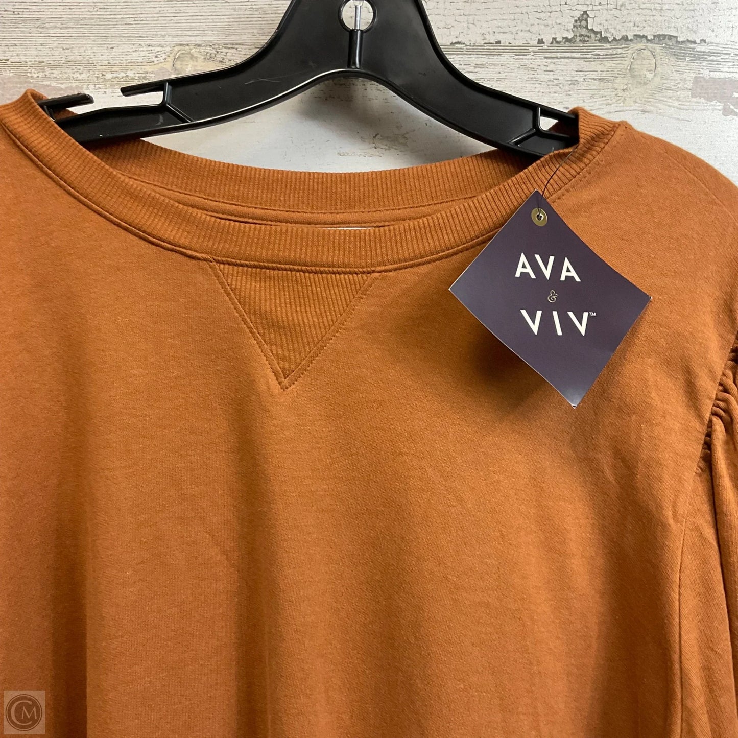 Top Short Sleeve By Ava & Viv In Brown, Size: 2x