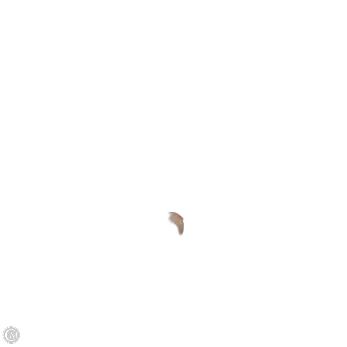 Pants Designer By Lafayette 148 In Beige, Size: 12