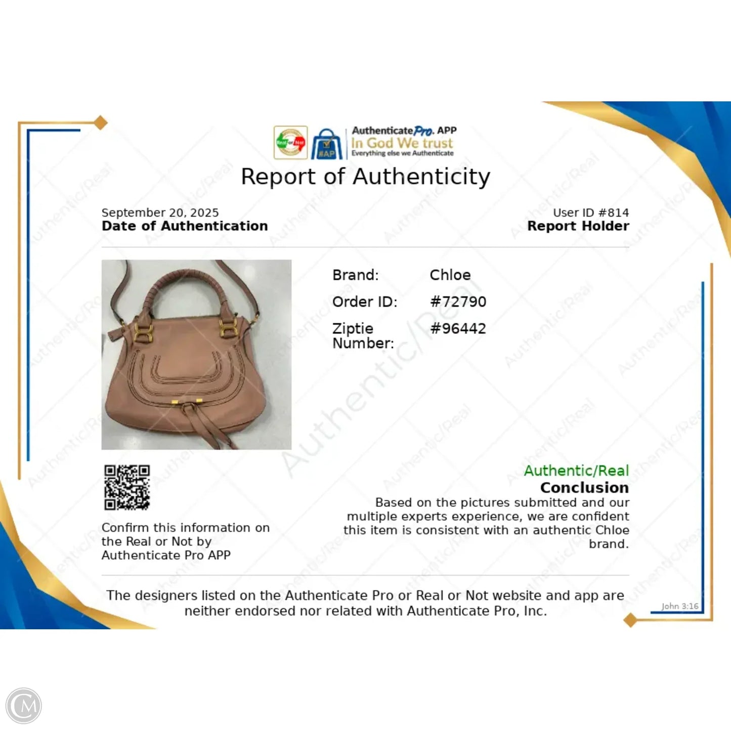 Handbag Luxury Designer By Chloe, Size: Medium