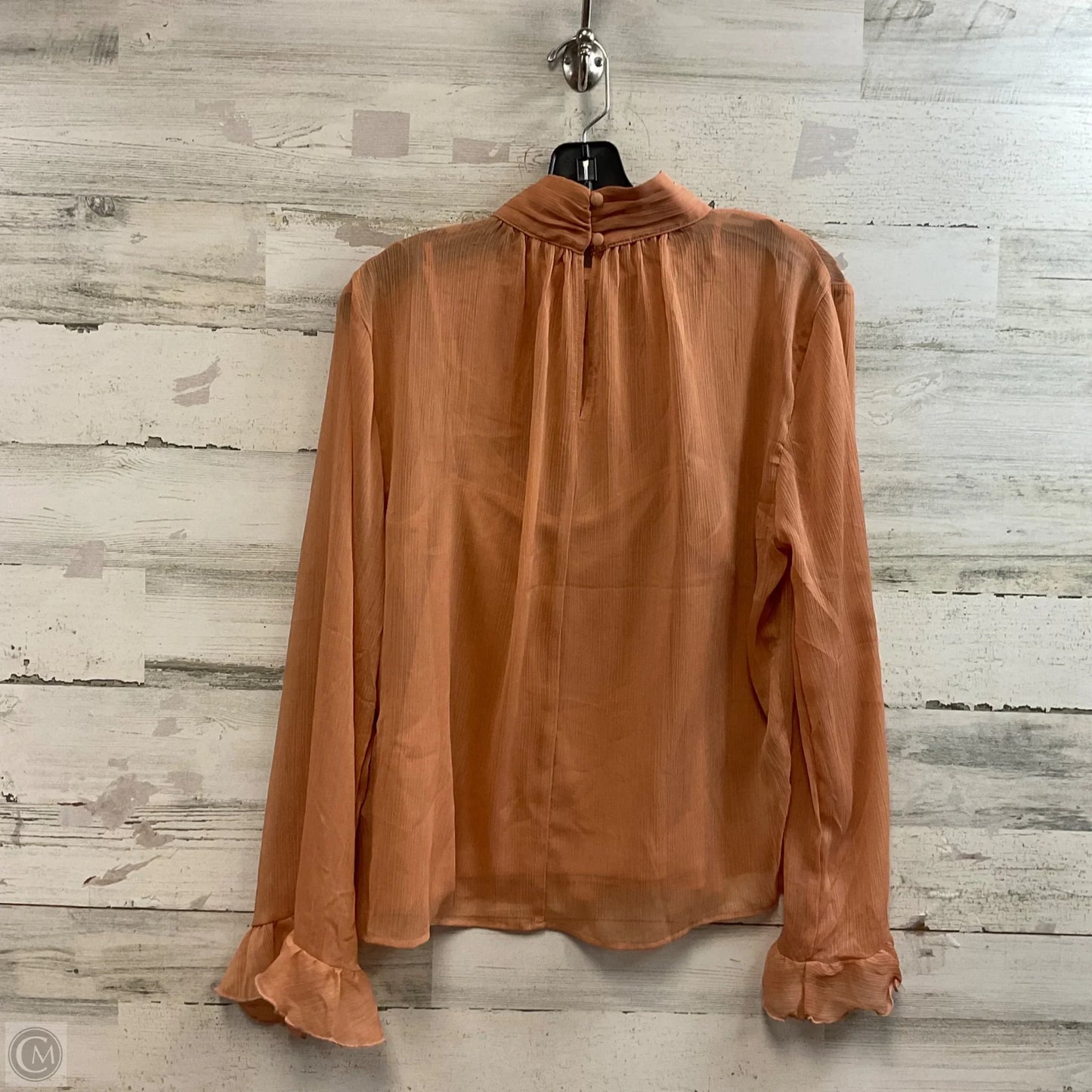 Blouse Long Sleeve By Anthropologie In Peach, Size: M