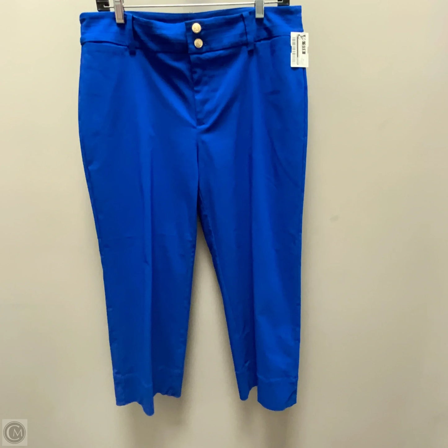 Pants Wide Leg By Chicos In Blue, Size: 10