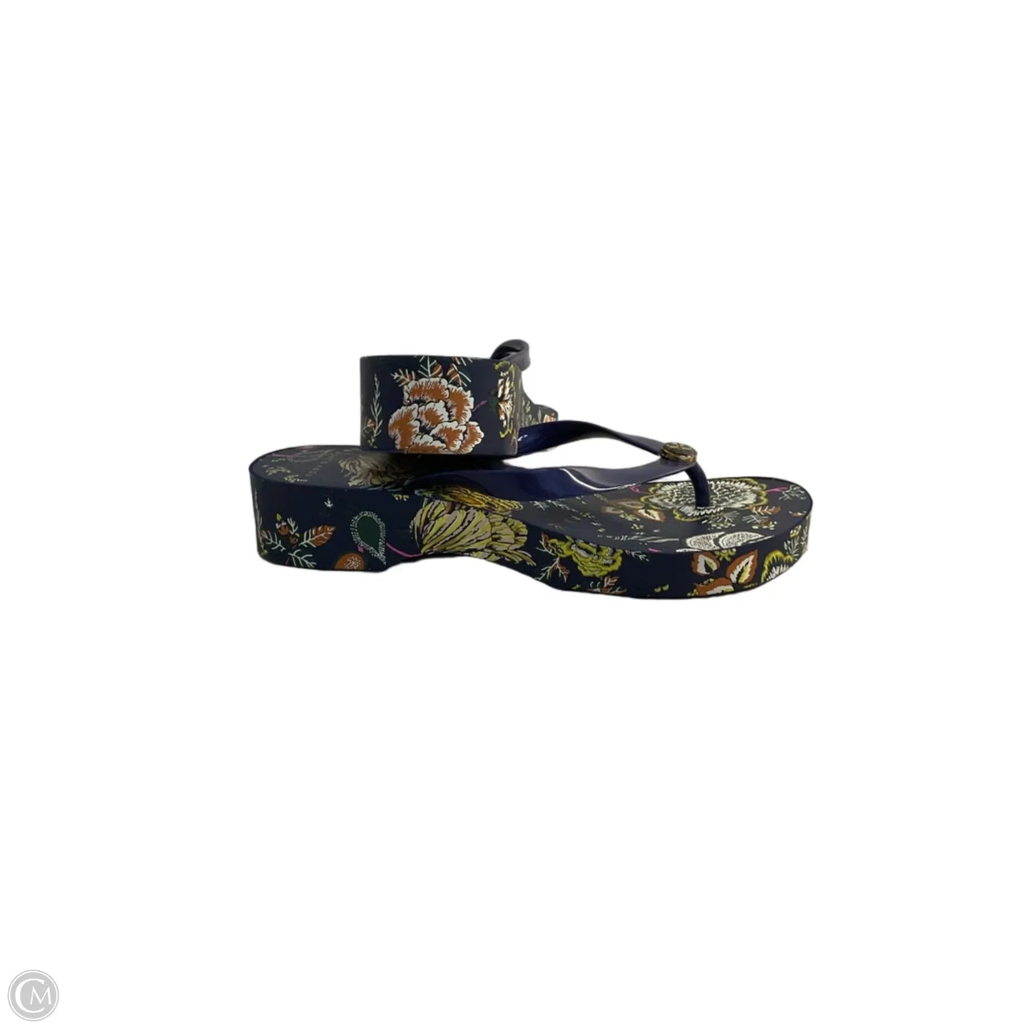 Sandals Designer By Tory Burch In Blue, Size: 9